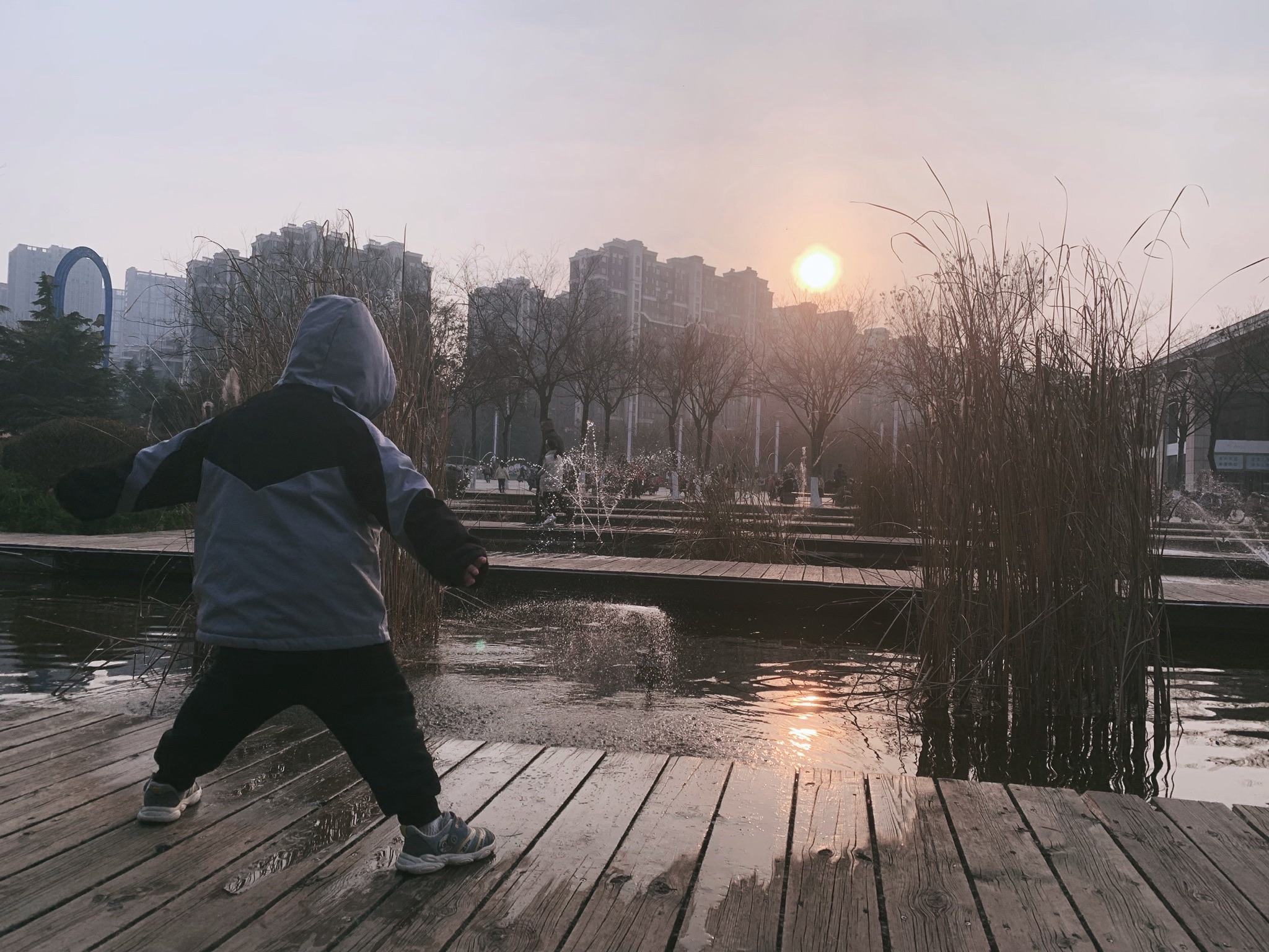 肥城湿地公园旅行图片 3