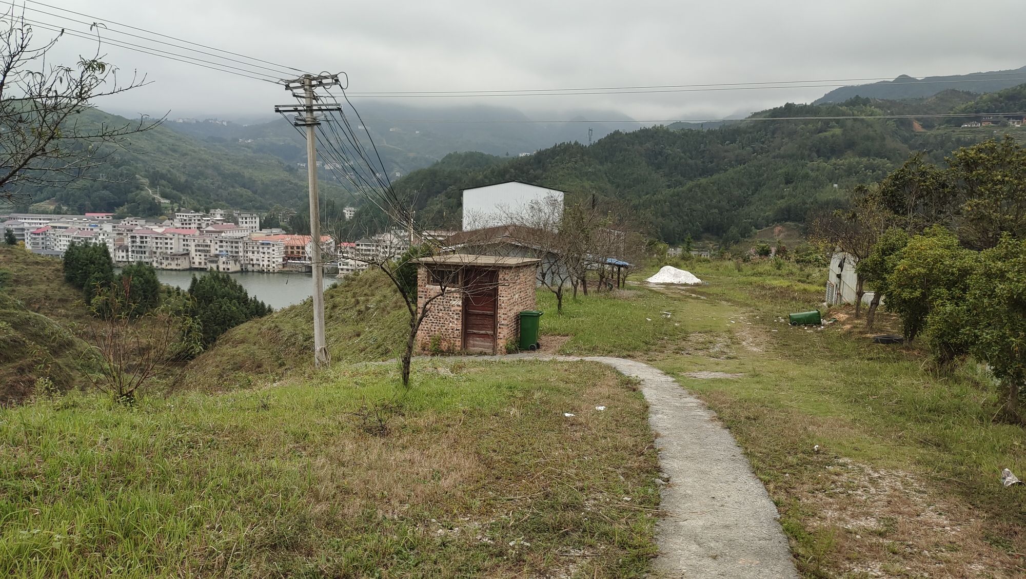 新邵大新乡玫瑰园旅行图片 2