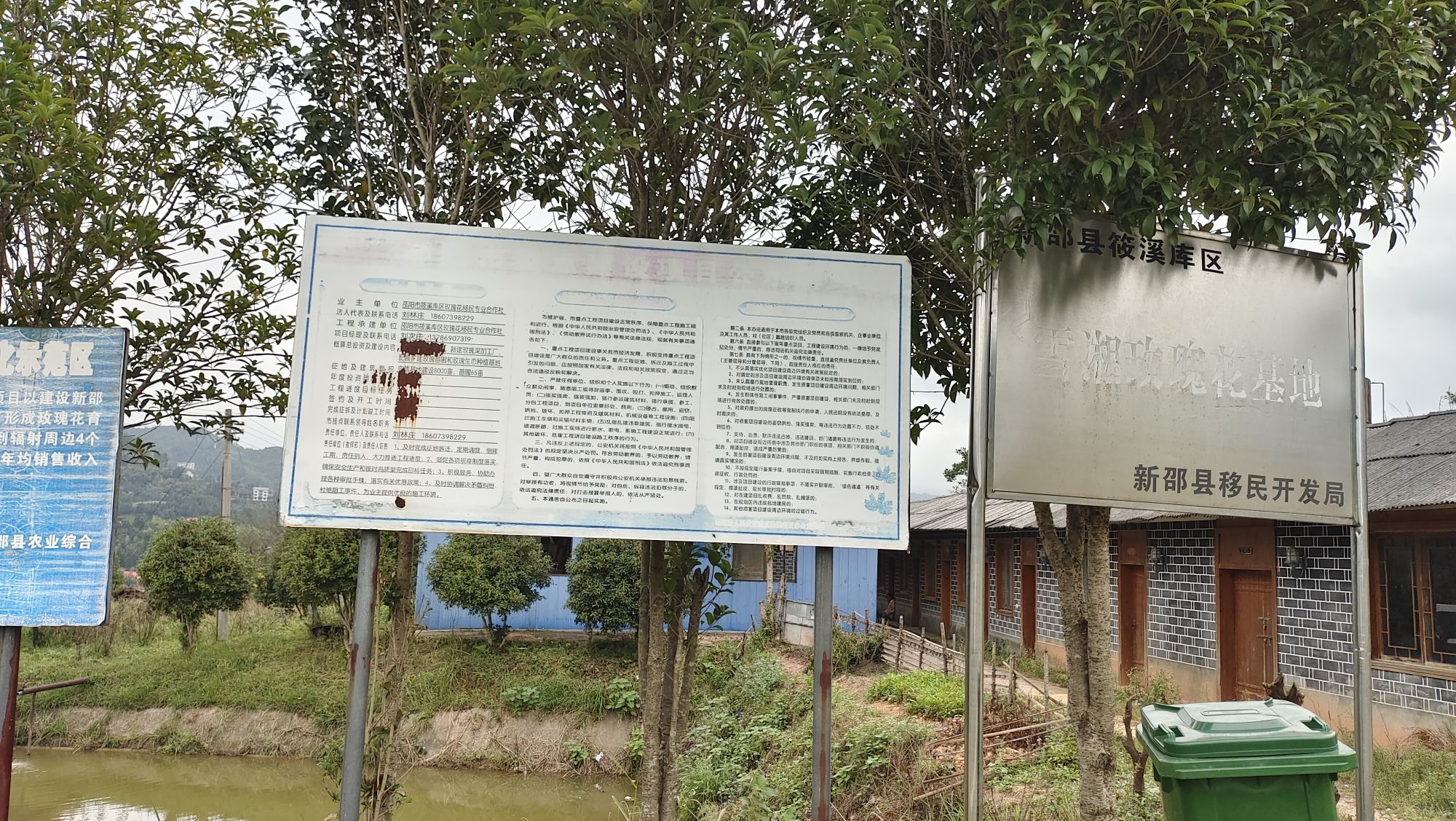 新邵大新乡玫瑰园旅行图片 1