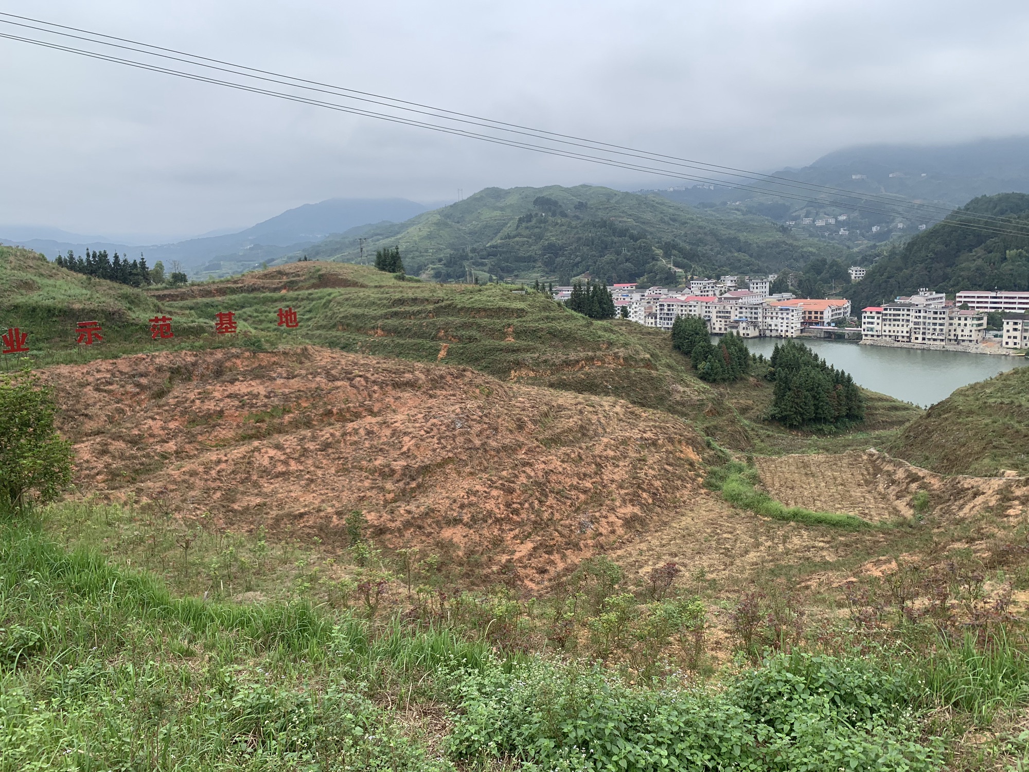 新邵大新乡玫瑰园旅行图片 1