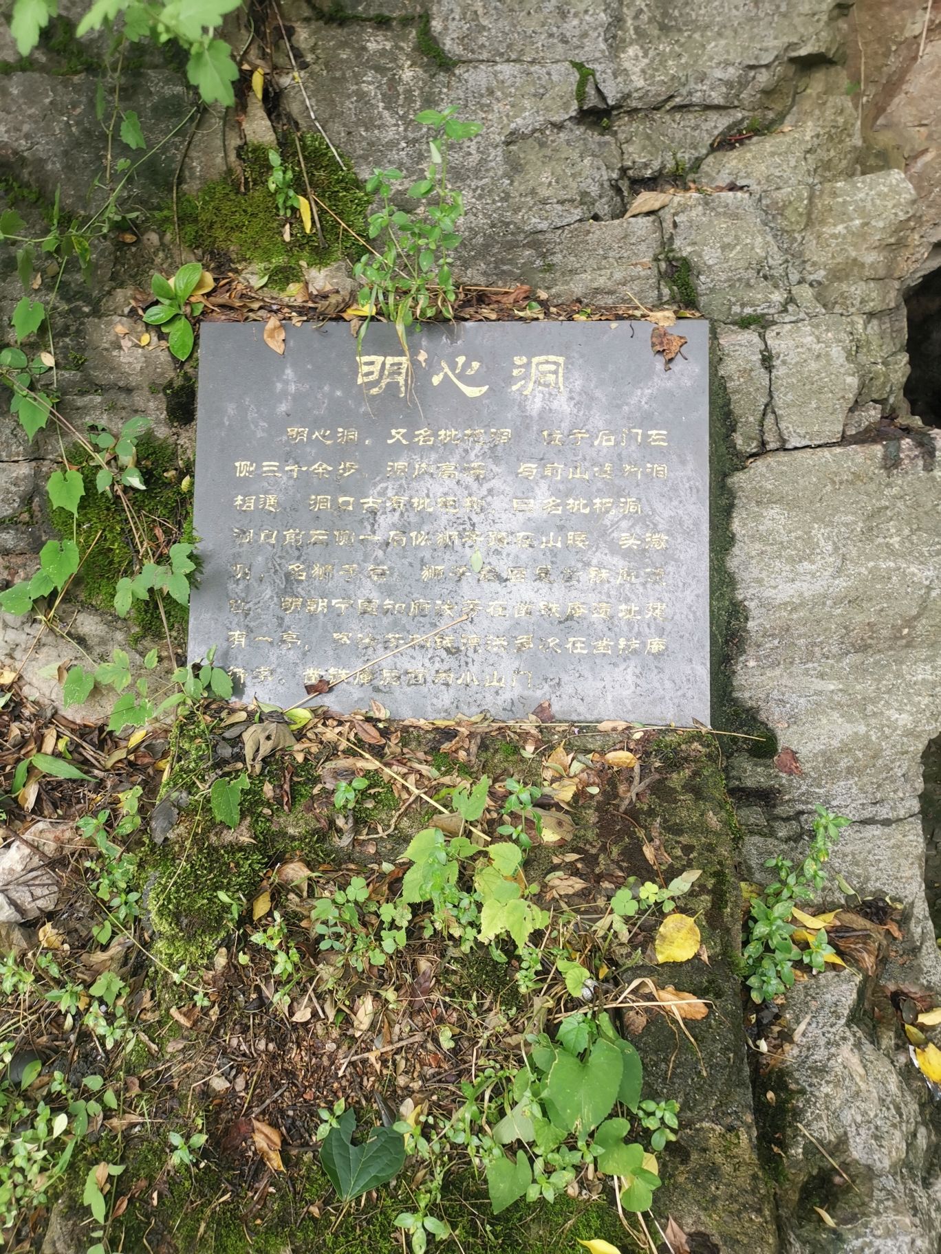 山门洞旅行图片 2