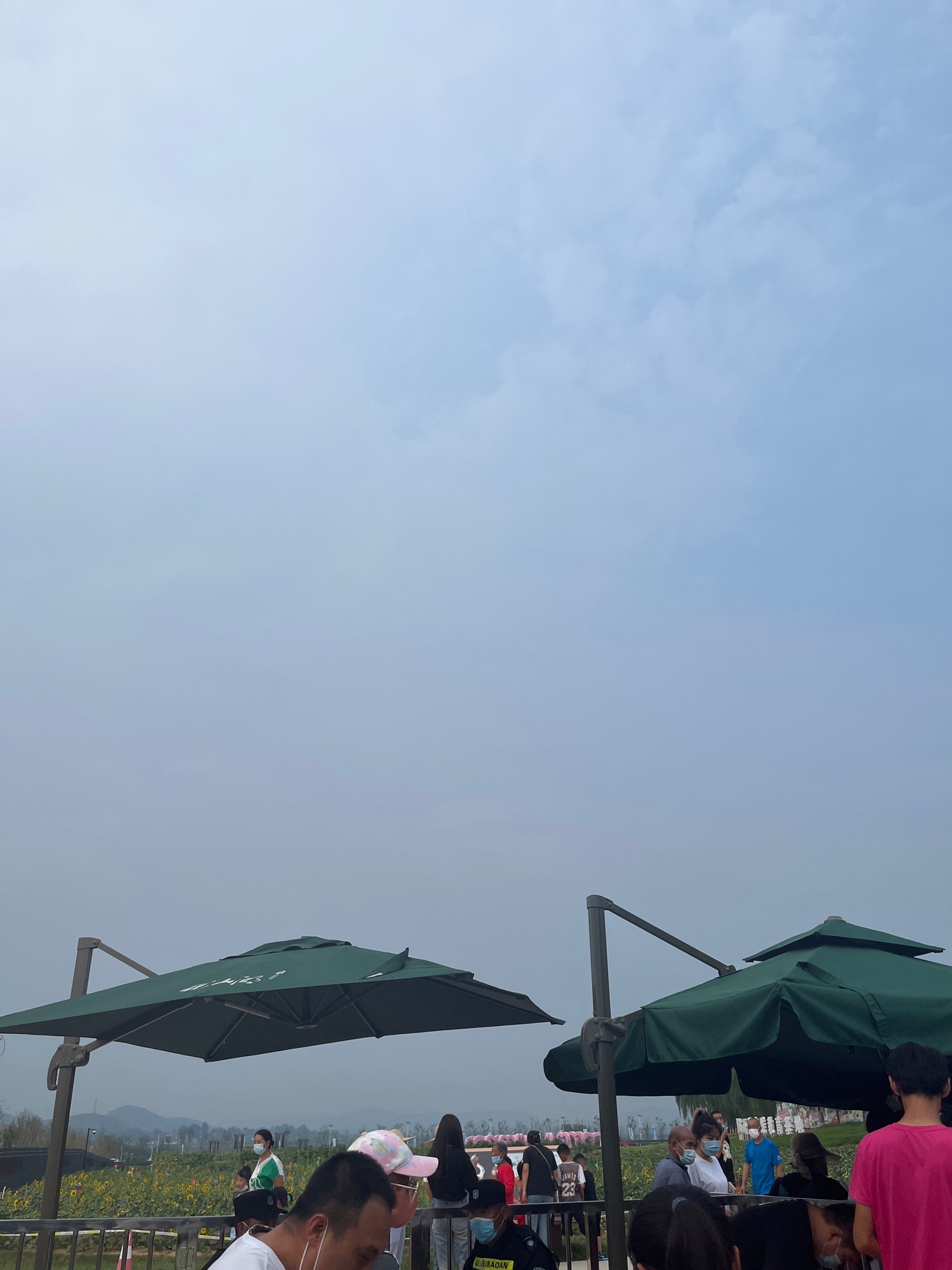 徐水区劳动公园旅行图片 1