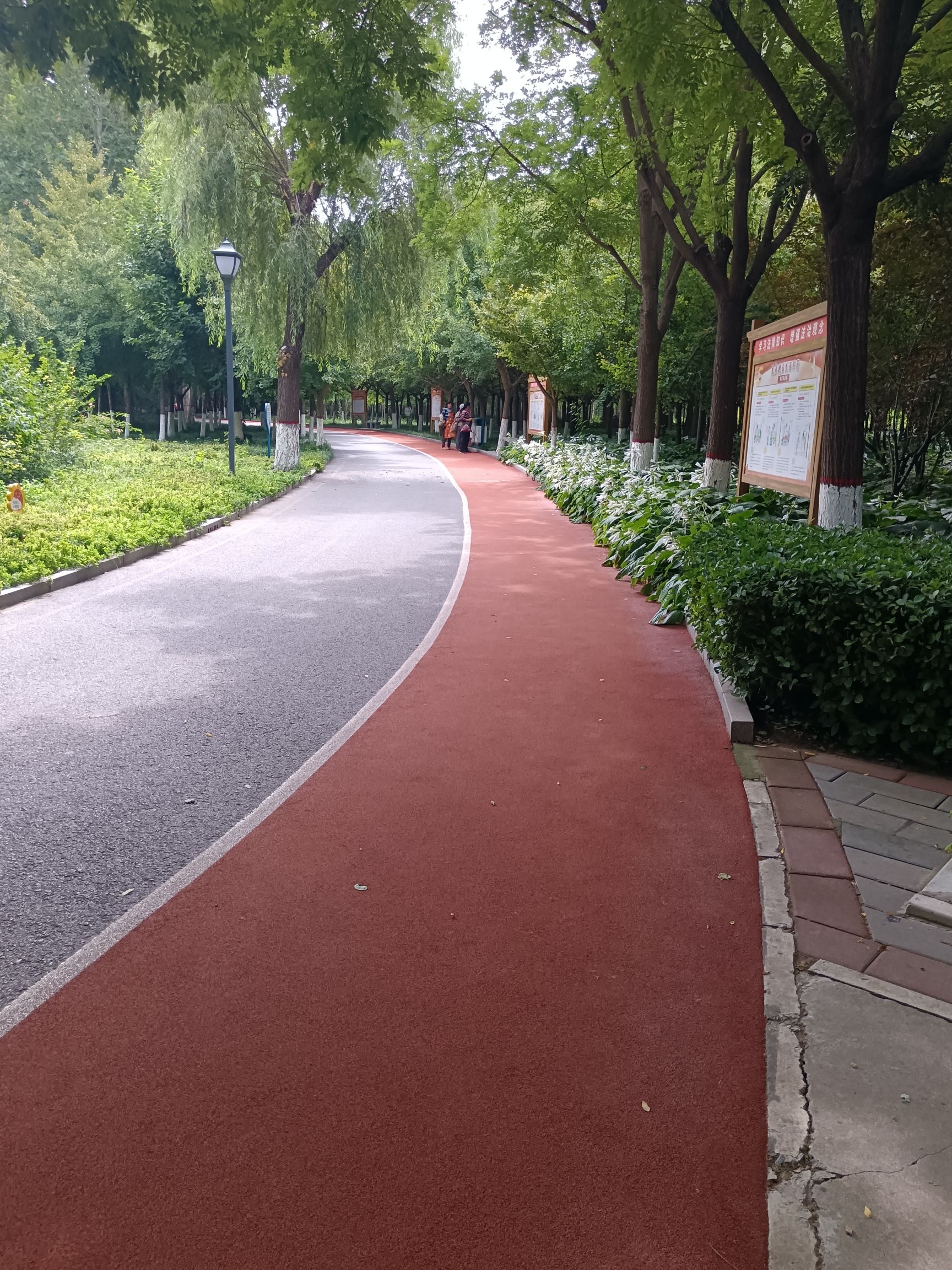 徐水区劳动公园
