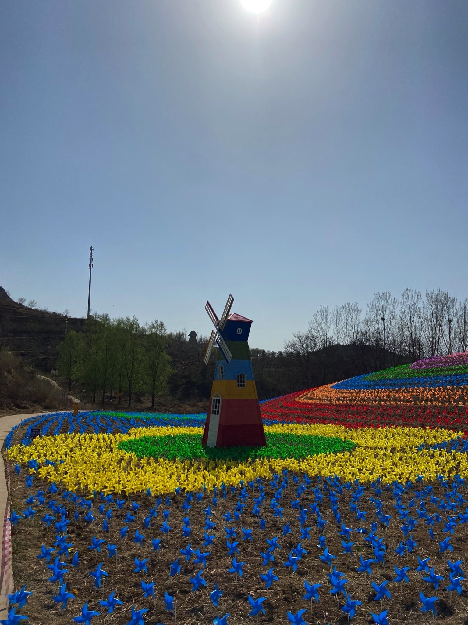密云玫瑰情园景区旅行图片 1