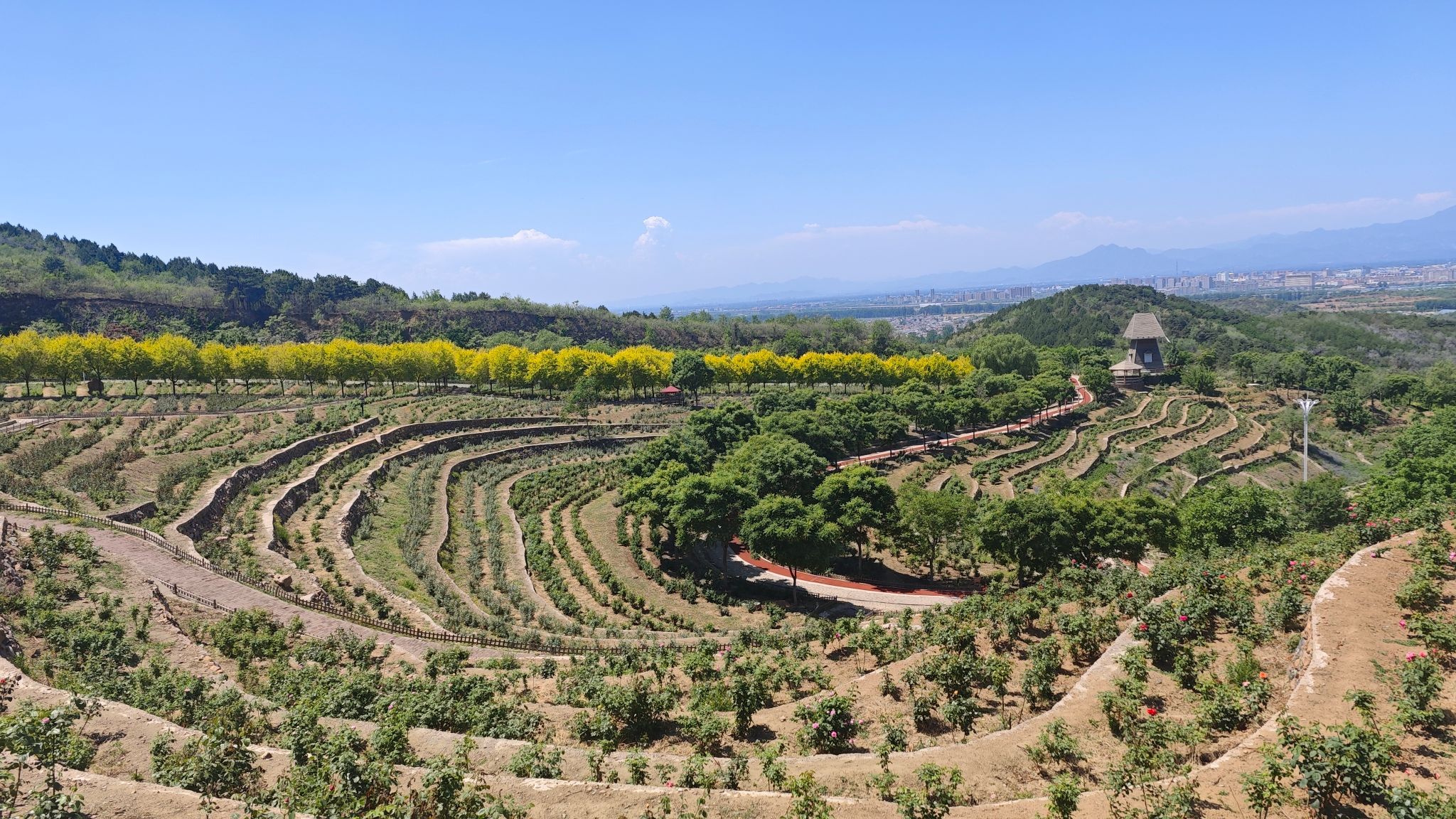 密云玫瑰情园景区旅行图片 1