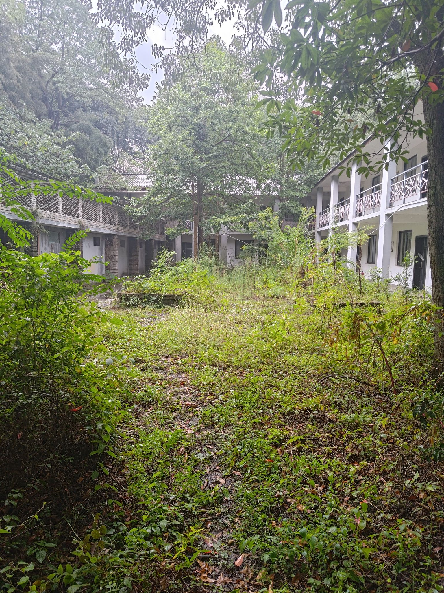 太阳岛户外拓展基地旅行图片 1