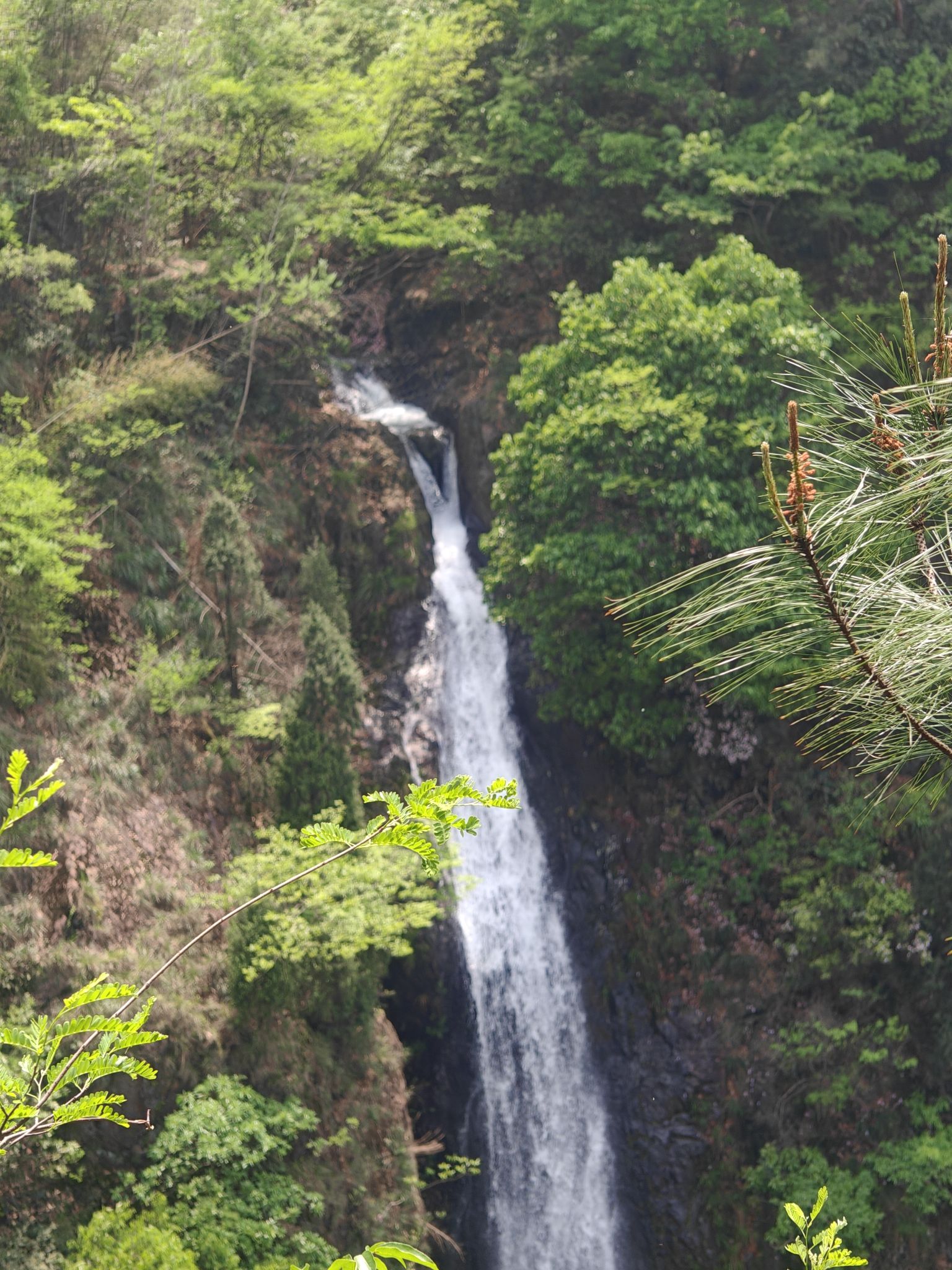 松瀑山风景区旅行图片 3