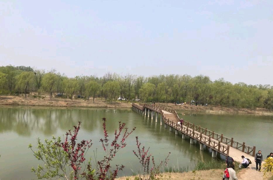 龙居桃花岛旅游度假区旅行图片 2