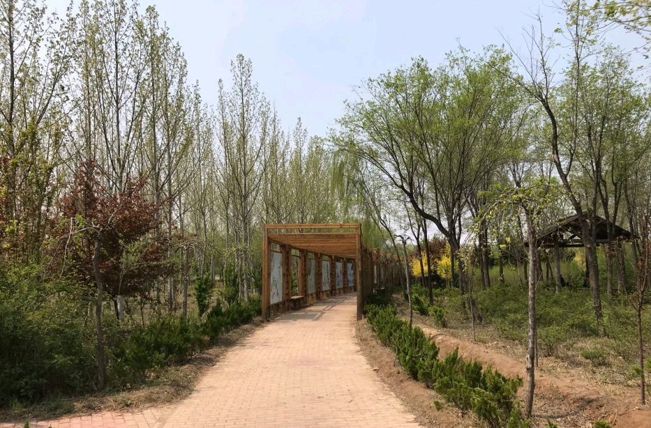 龙居桃花岛旅游度假区旅行图片 3