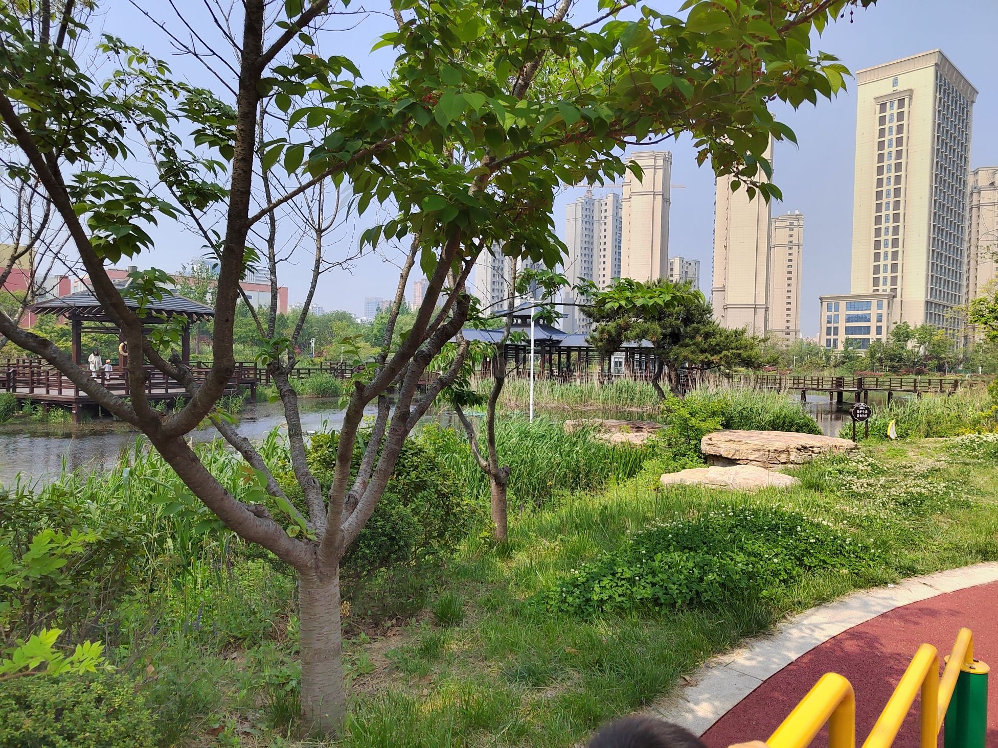 山海天湿地公园旅行图片 1