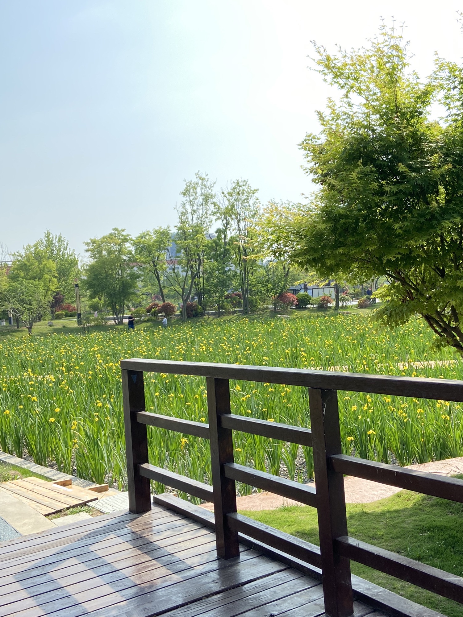 山海天湿地公园旅行图片 2