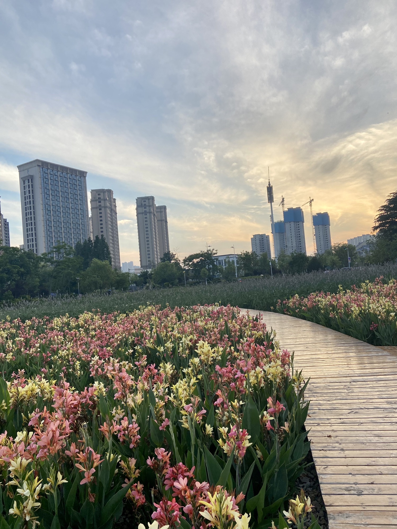 山海天湿地公园旅行图片 1