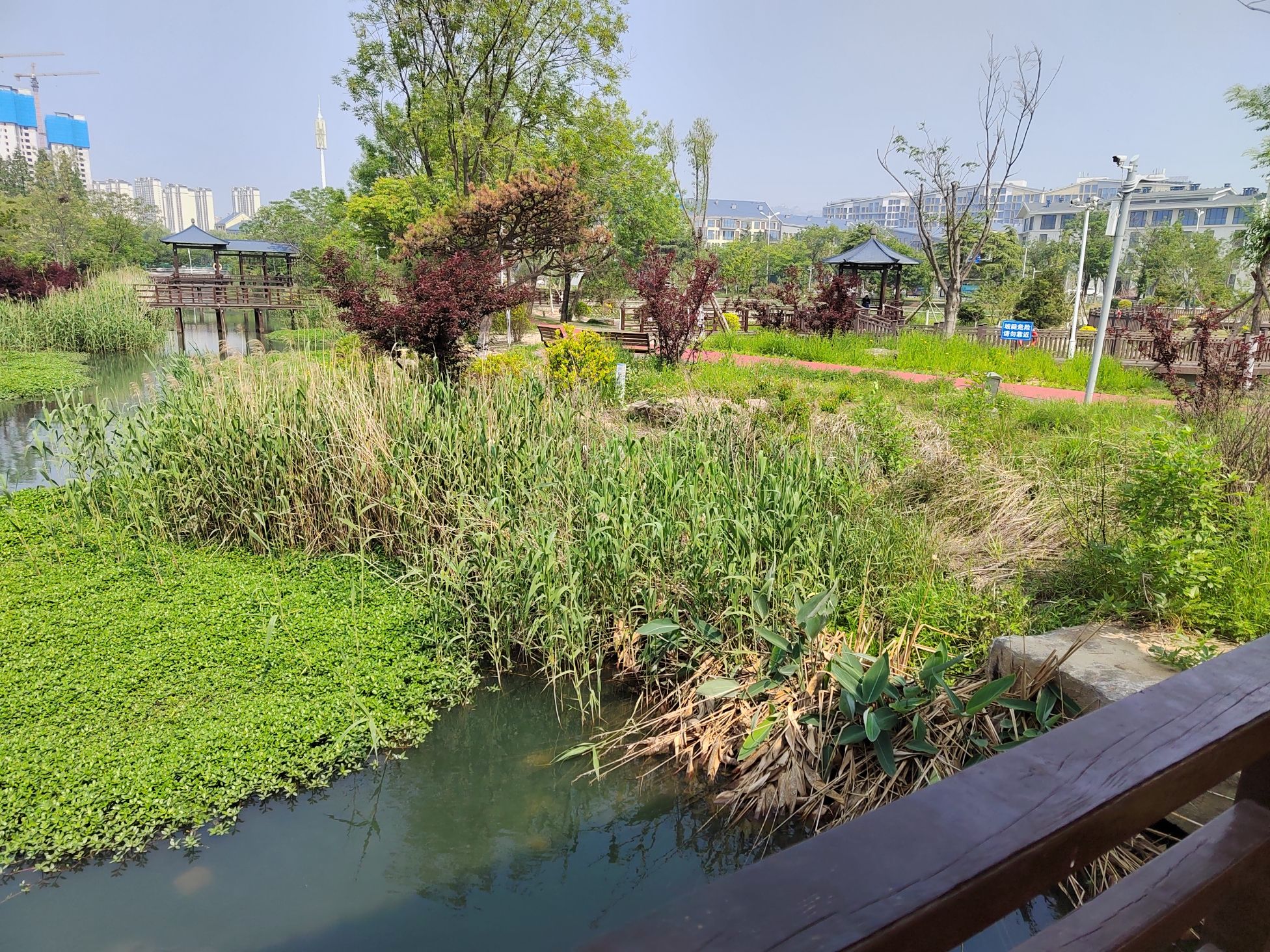山海天湿地公园旅行图片 2