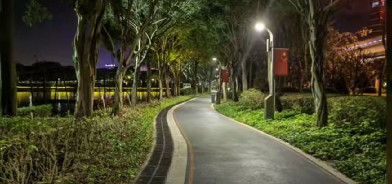 湖边公园旅行图片 2