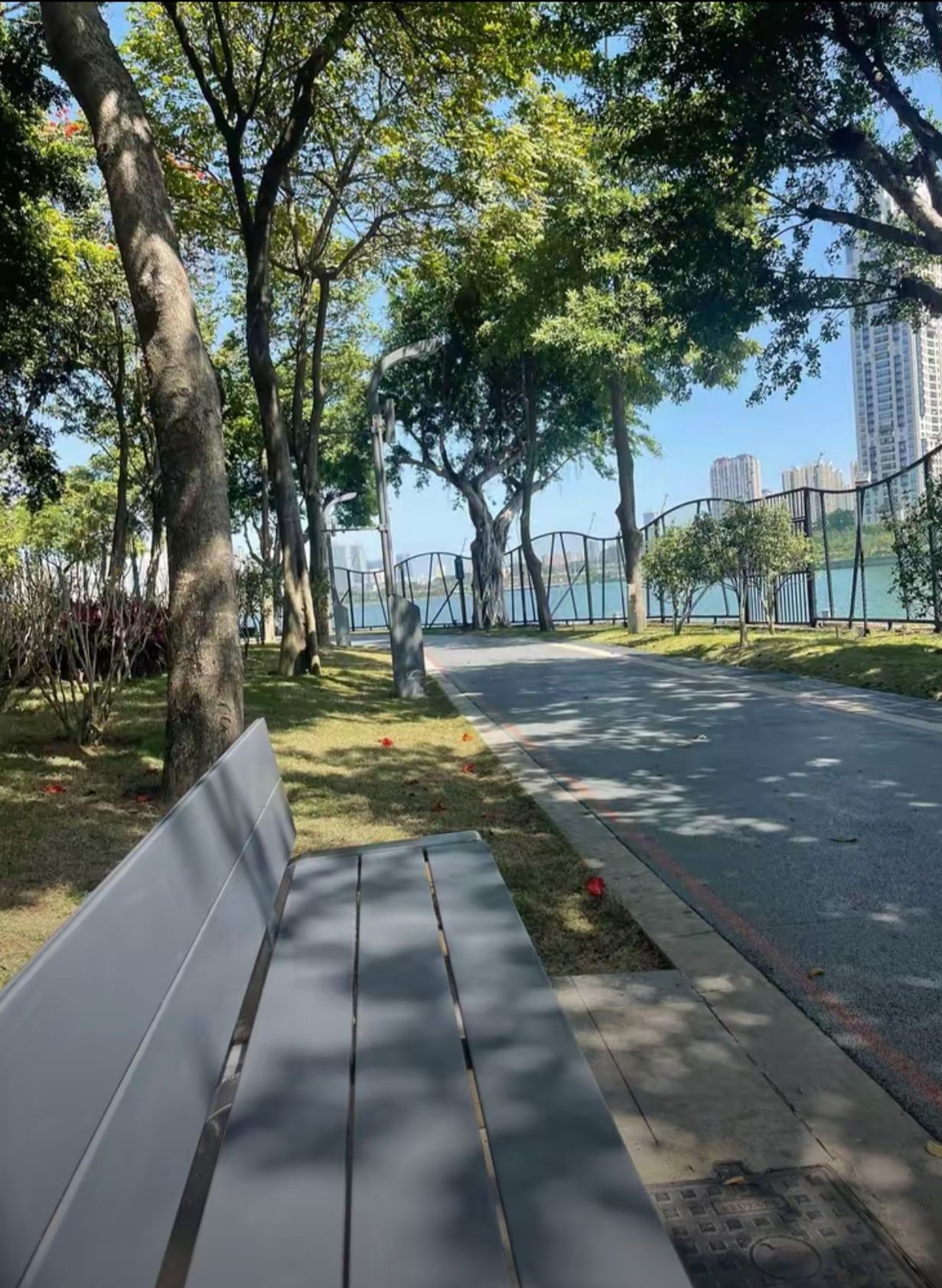 湖边公园旅行图片 3