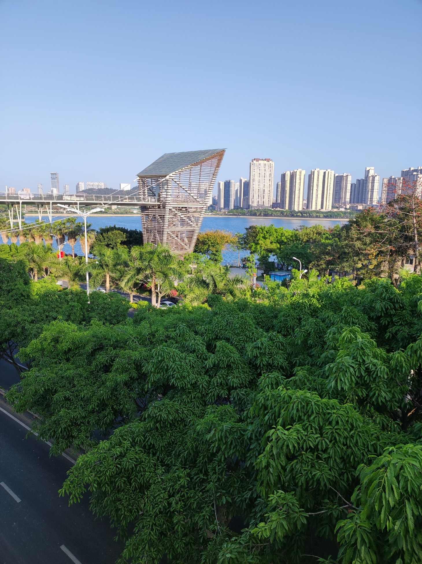 湖边公园旅行图片 2
