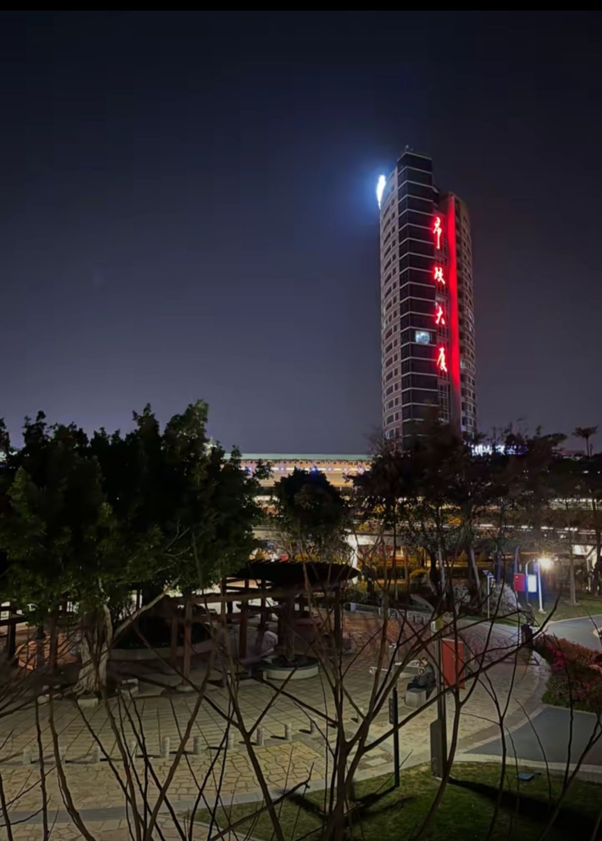 湖边公园旅行图片 1