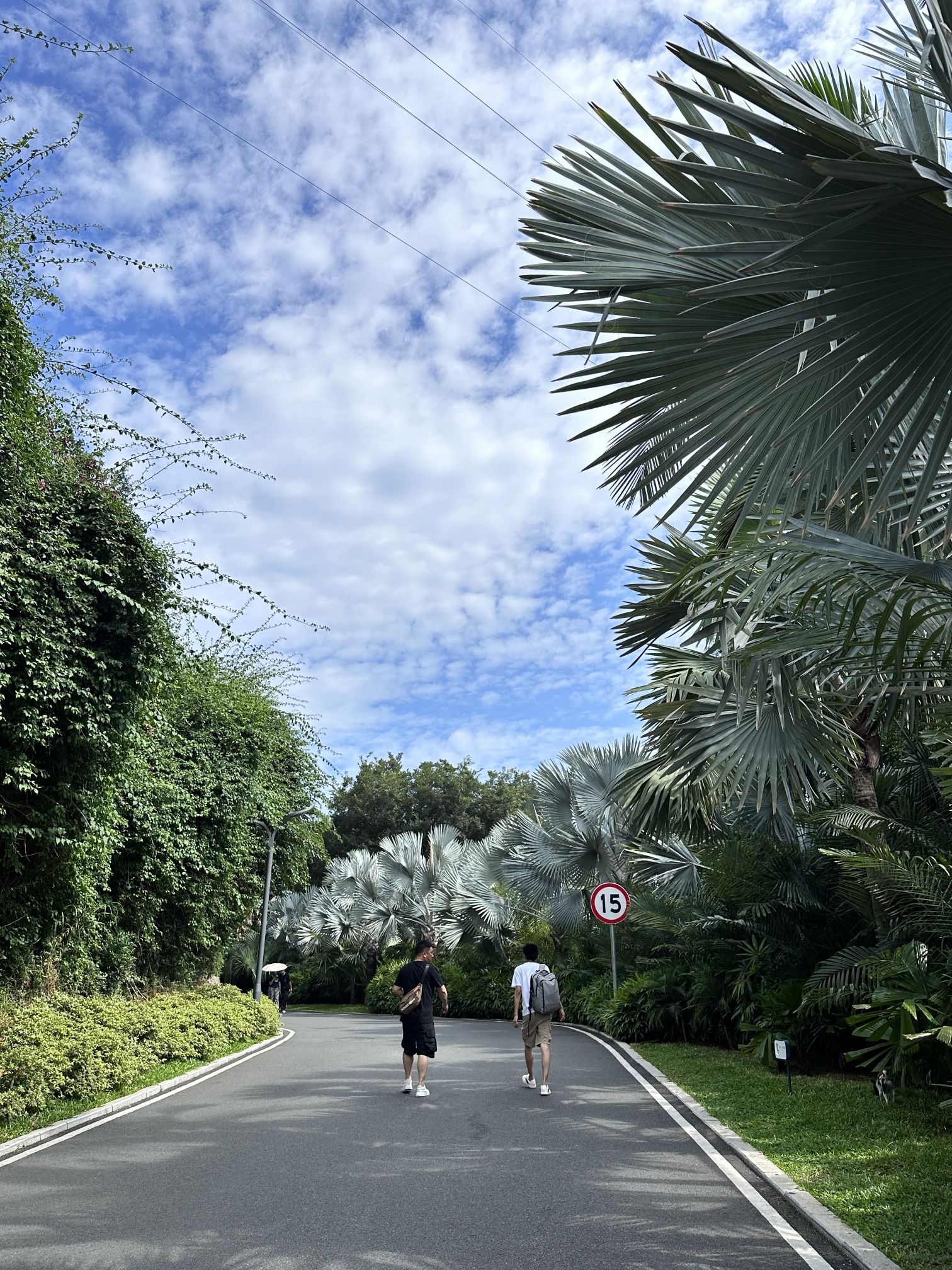 万石山国家重点风景名胜区旅行图片 2
