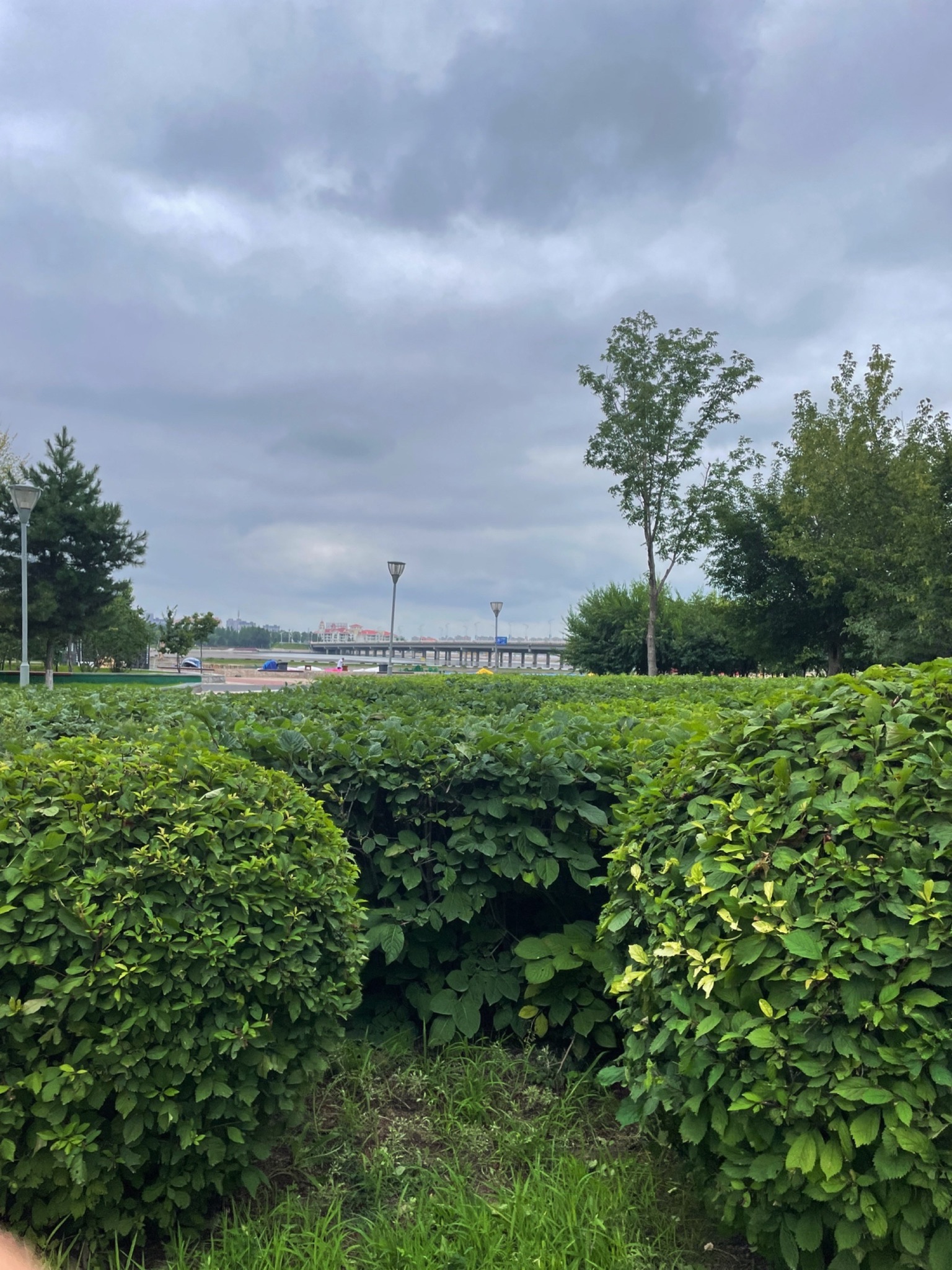 辽河公园旅行图片 3