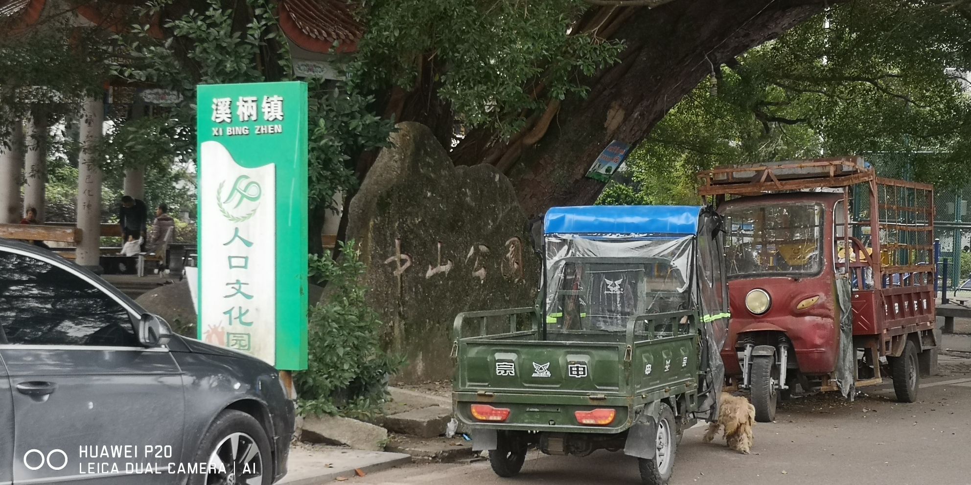 中山公园旅行图片 2