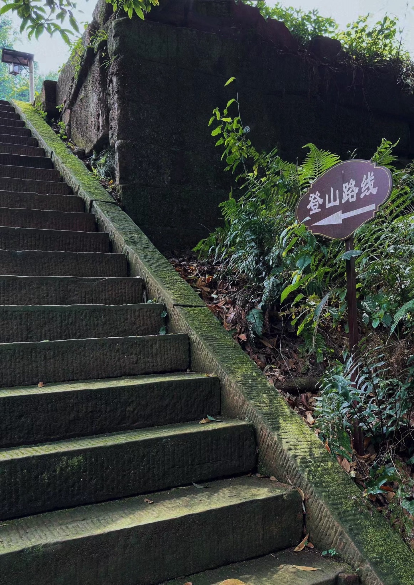 眉山市丹棱县九龙山森林公园旅行图片 1