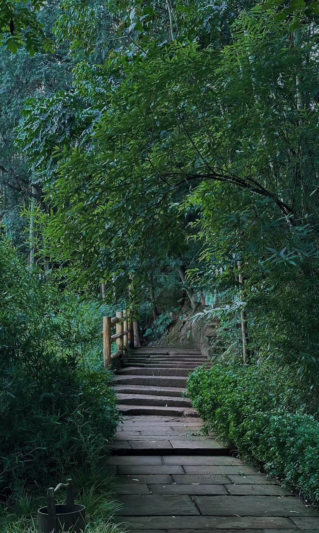 眉山市丹棱县九龙山森林公园旅行图片 2