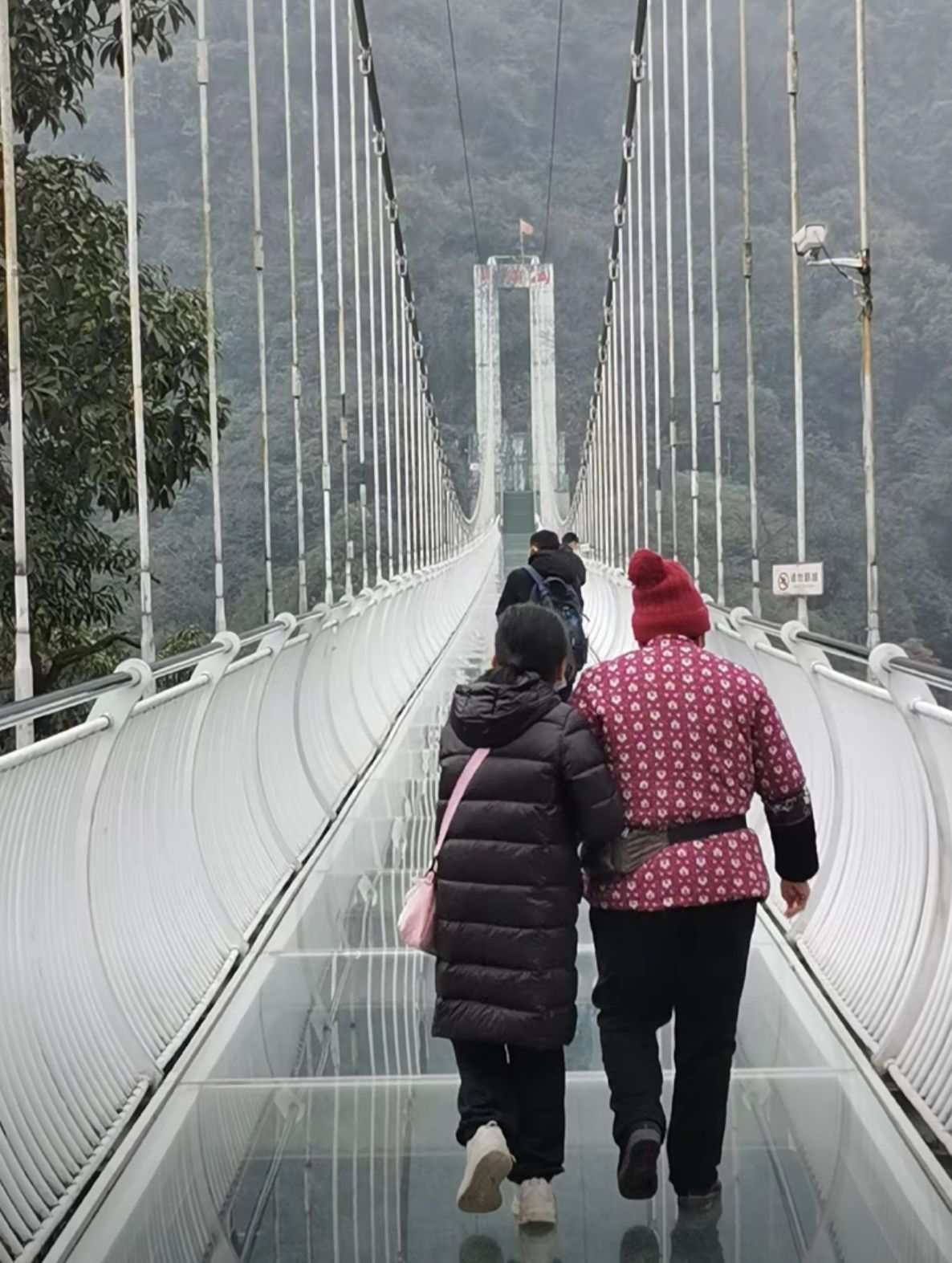 眉山市丹棱县九龙山森林公园旅行图片 1