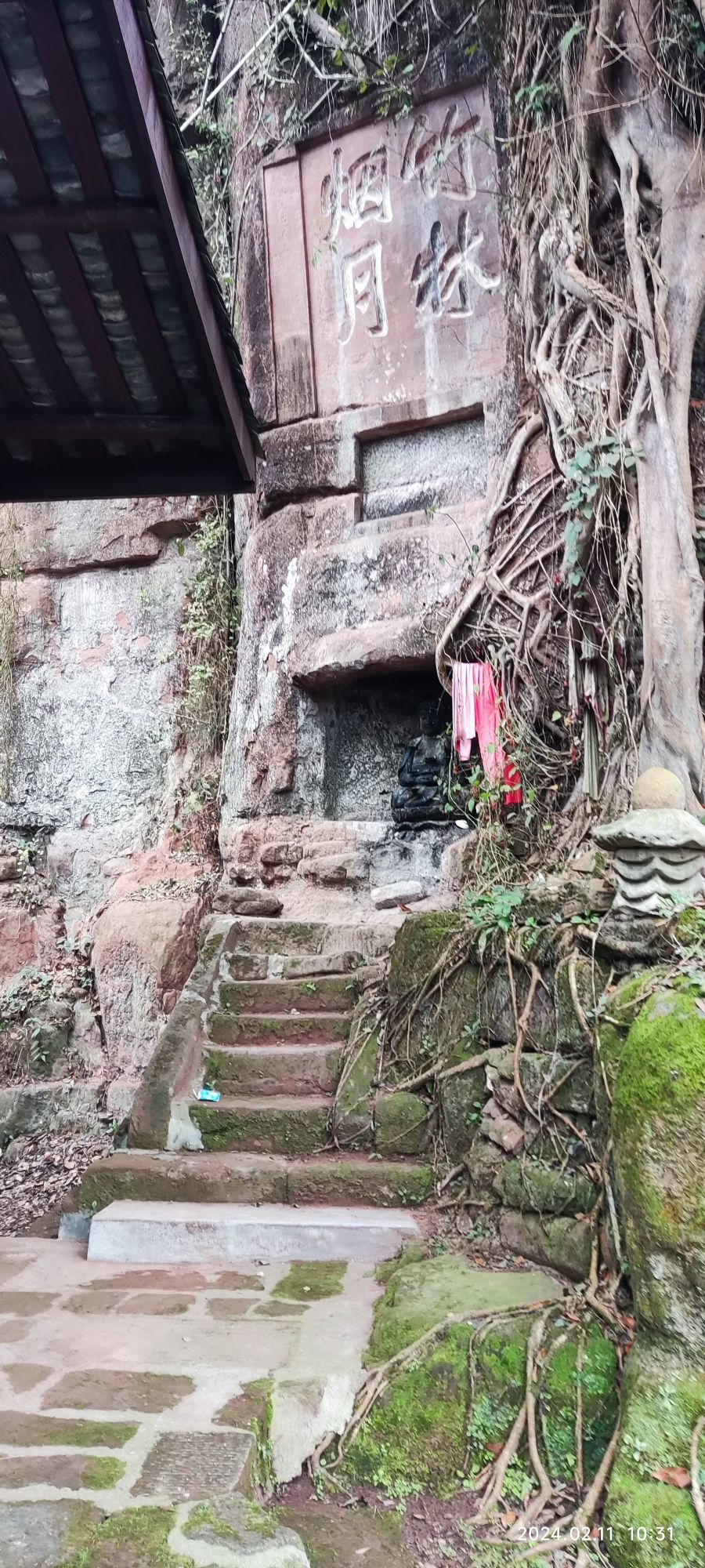 眉山市丹棱县九龙山森林公园旅行图片 1