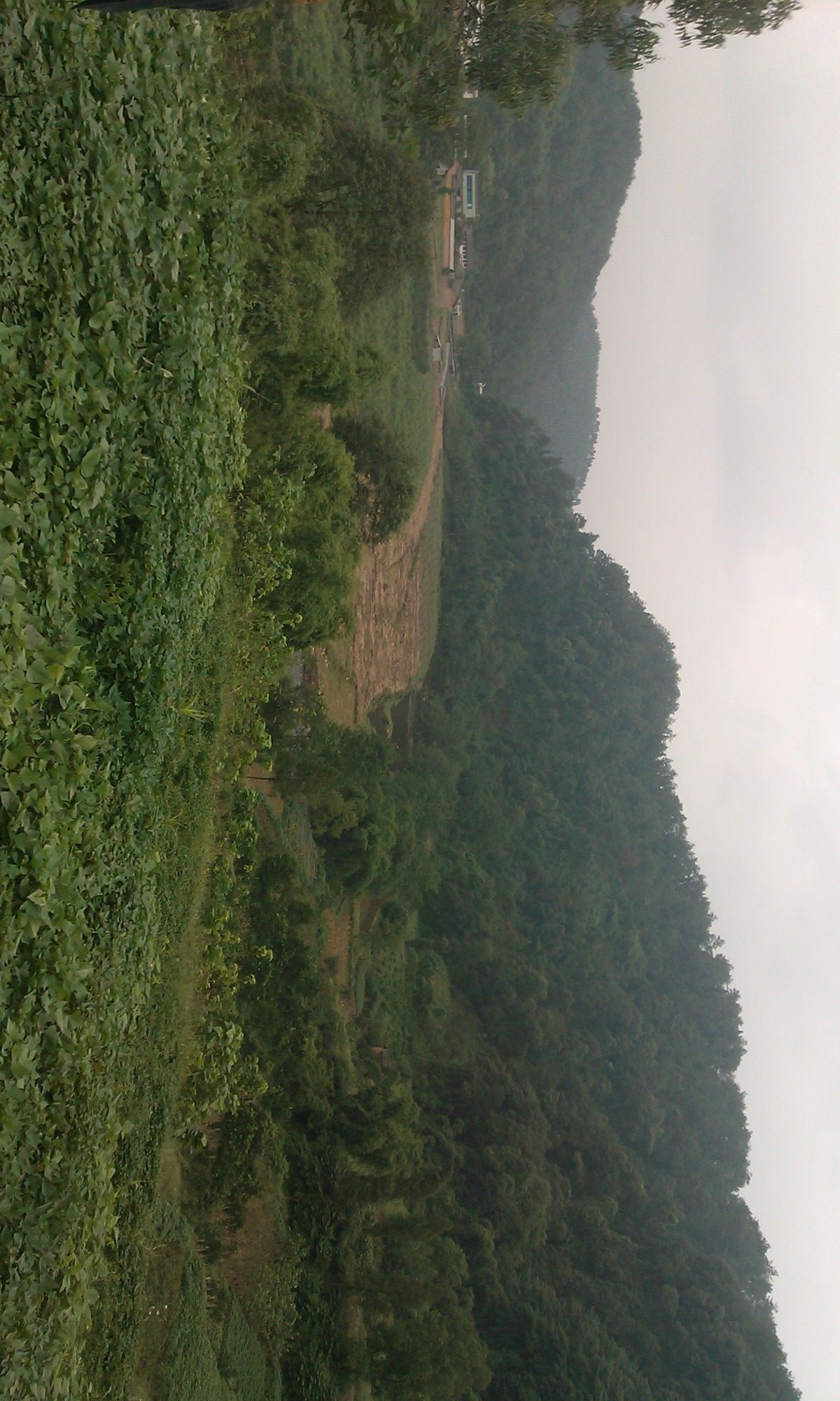 眉山市丹棱县九龙山森林公园旅行图片 3