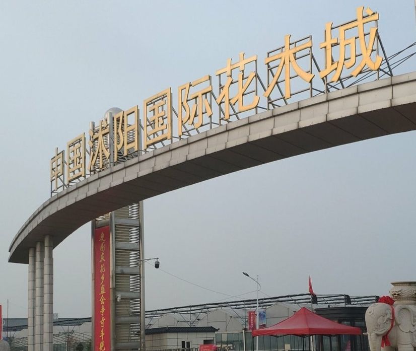 中国沭阳国际花木城