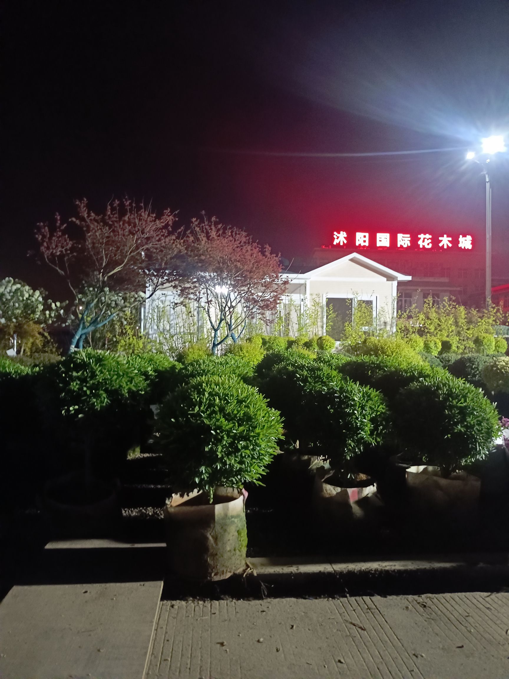 中国沭阳国际花木城