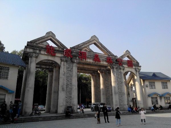 龙眼洞森林公园旅行图片 1