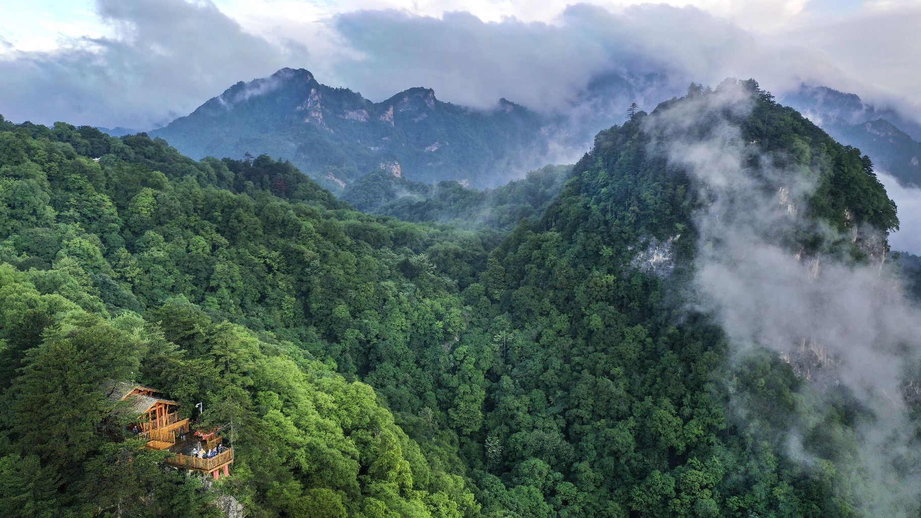 龙眼洞森林公园旅行图片 2