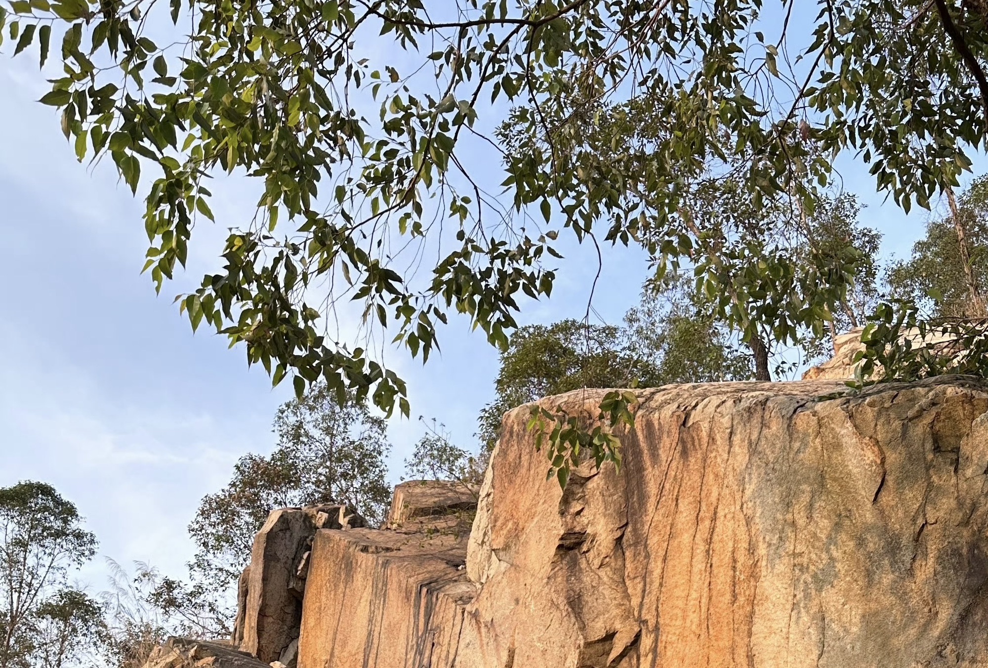 龙眼洞森林公园旅行图片 3