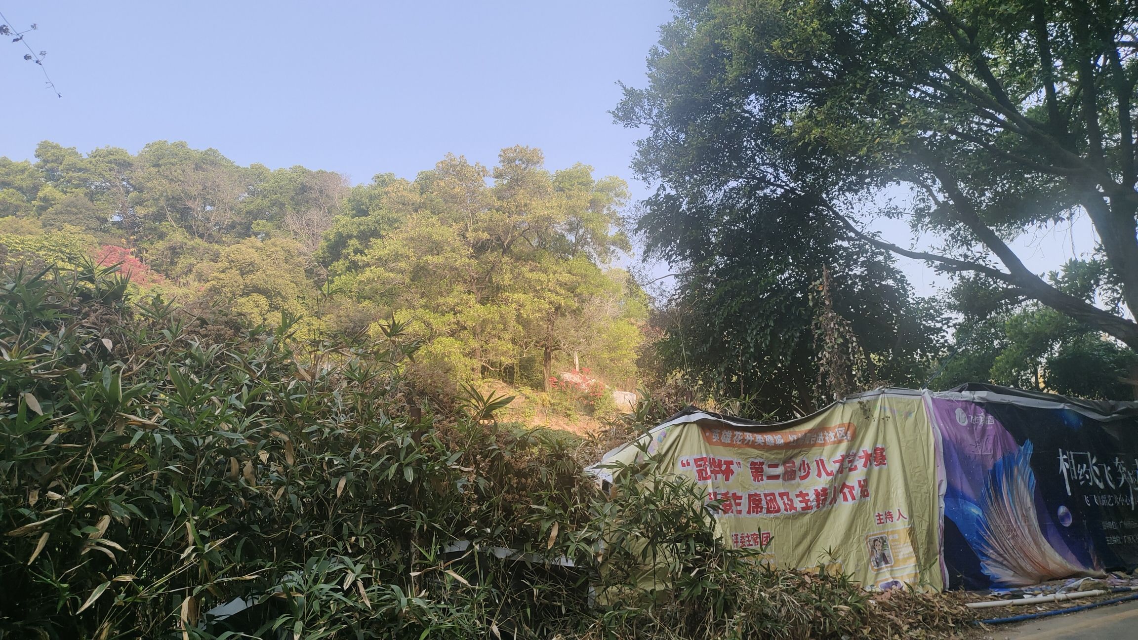 龙眼洞森林公园旅行图片 2