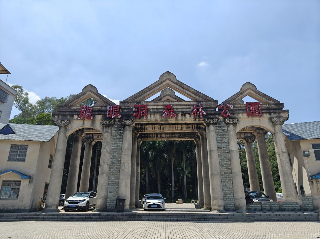 龙眼洞森林公园旅行图片 1