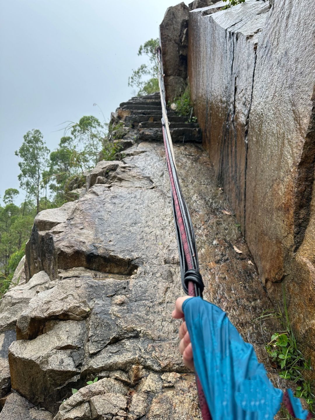 龙眼洞森林公园旅行图片 3