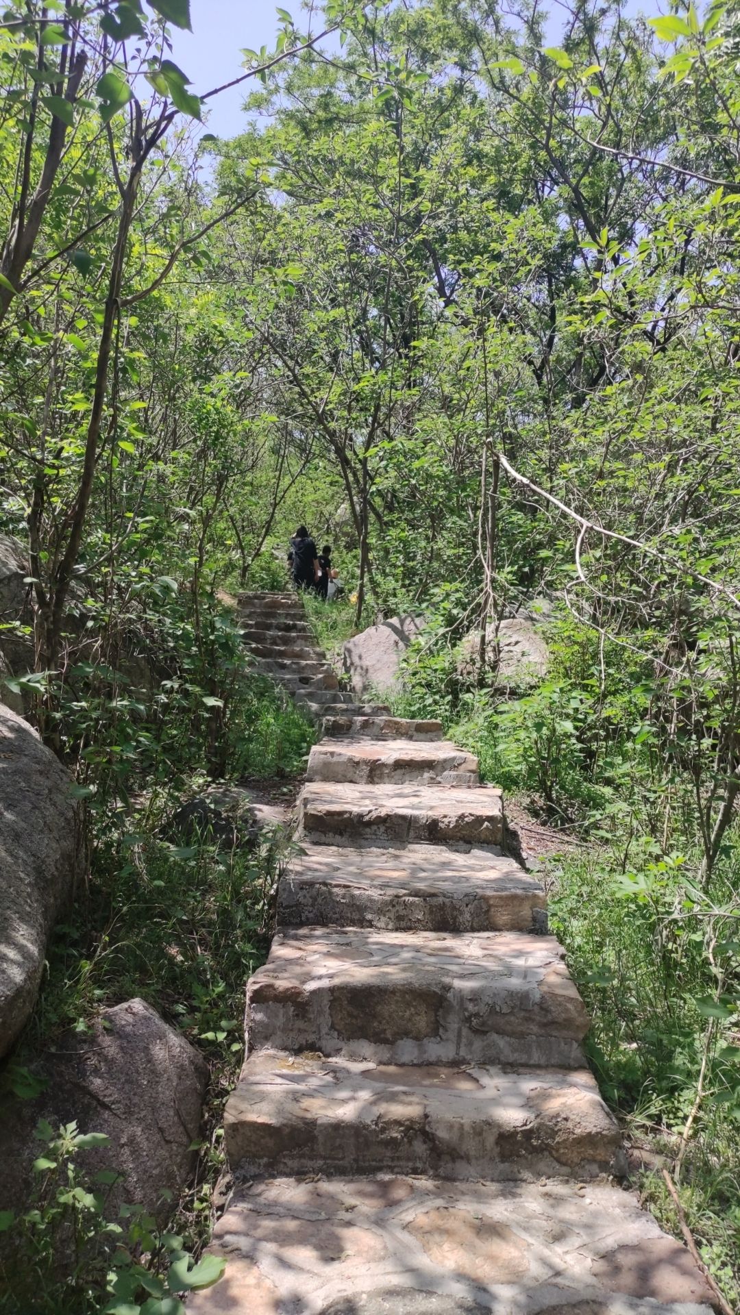鸿山森林公园旅行图片 3