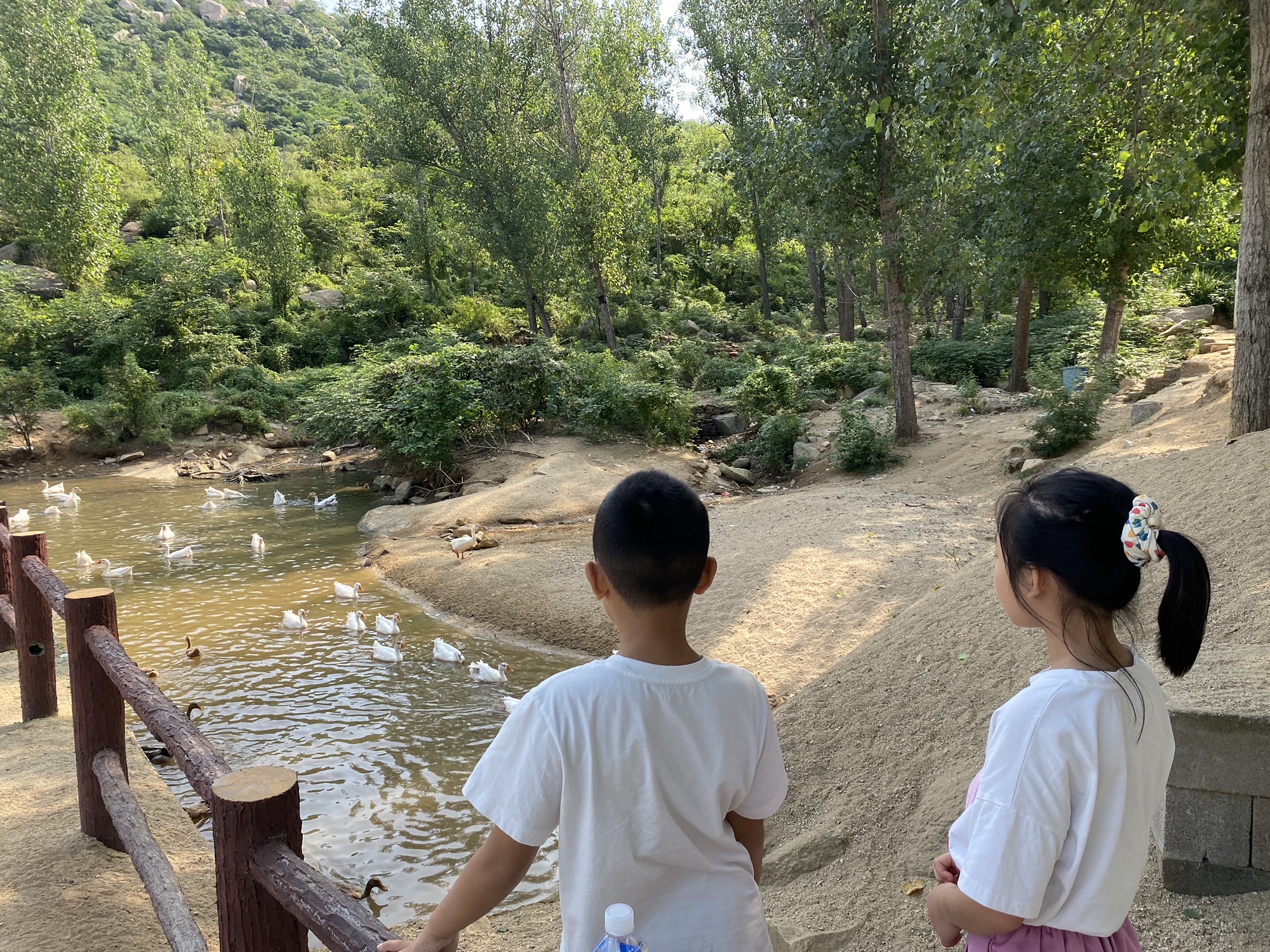 鸿山森林公园旅行图片 1