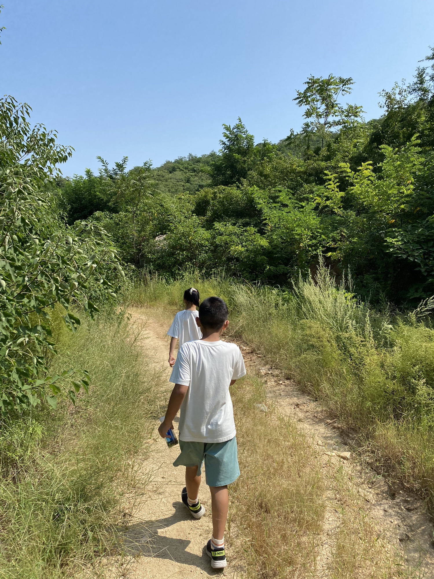 鸿山森林公园旅行图片 3
