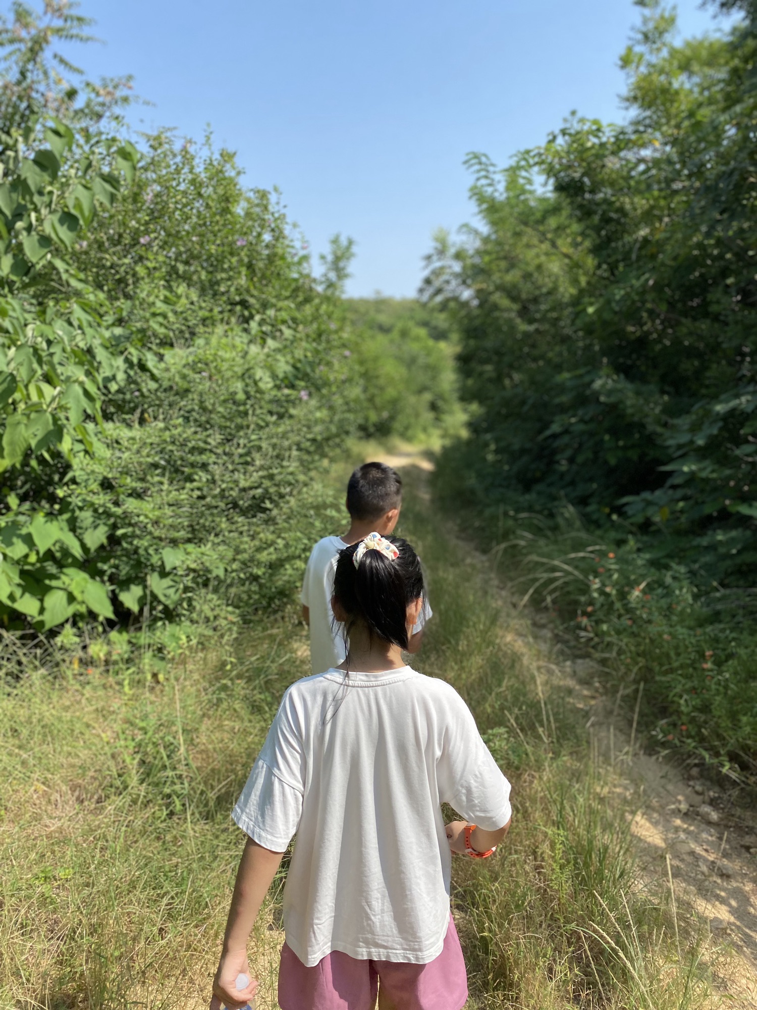 鸿山森林公园旅行图片 2