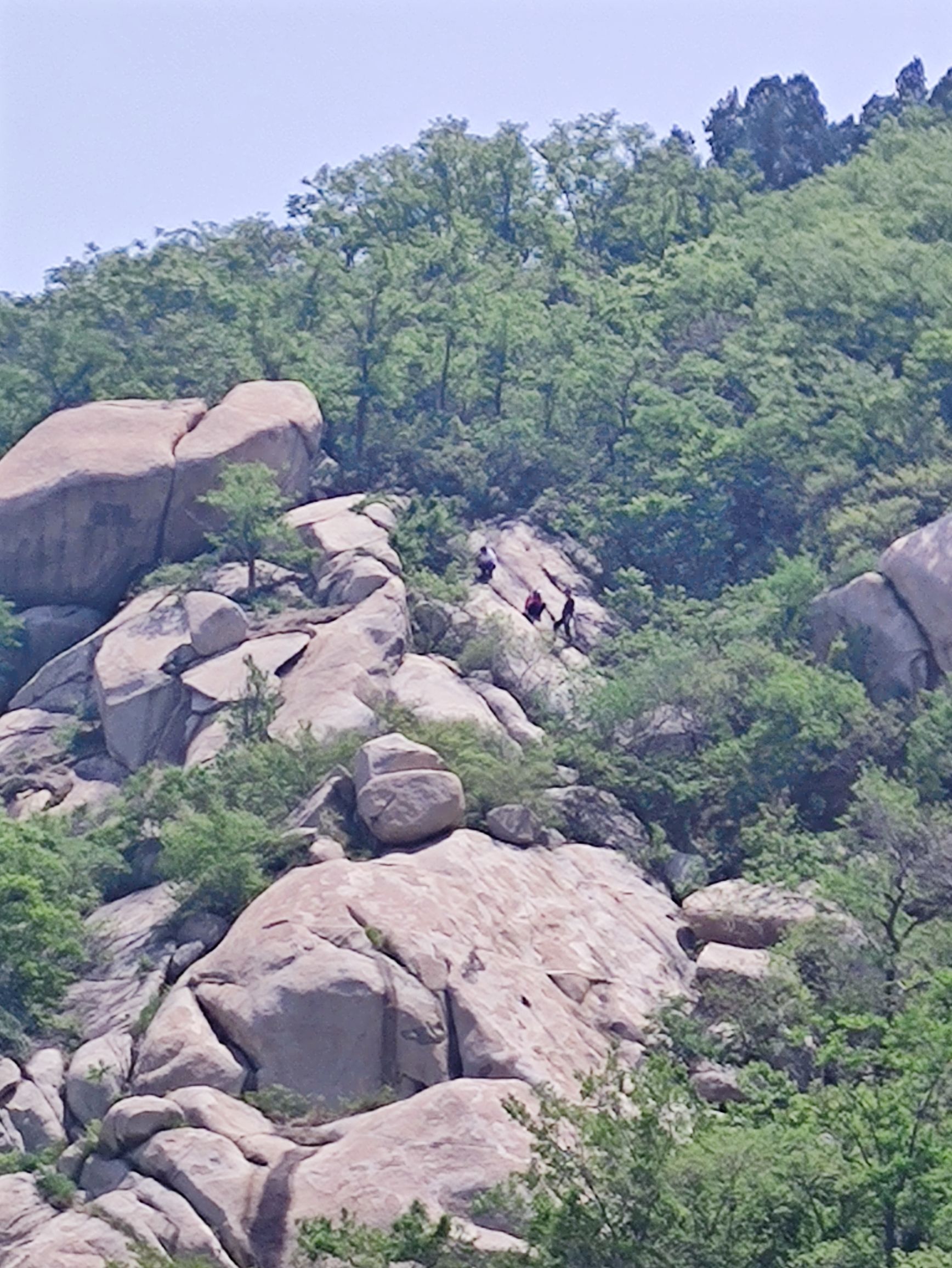 鸿山森林公园旅行图片 1