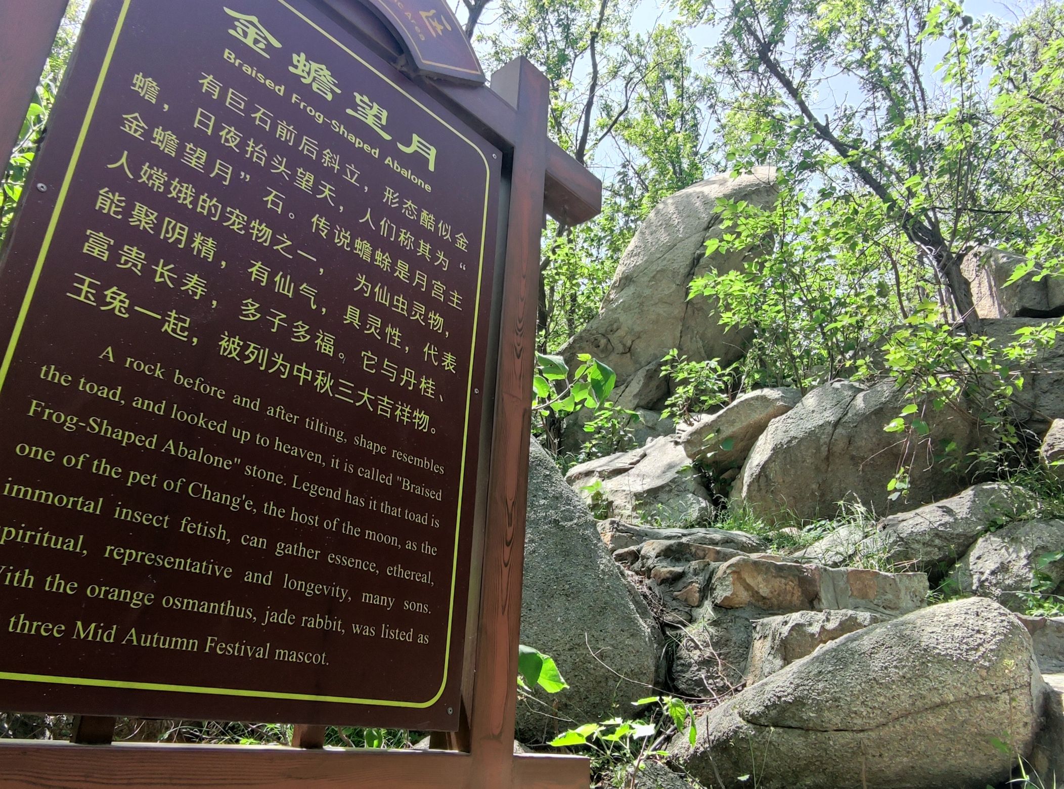 鸿山森林公园旅行图片 2
