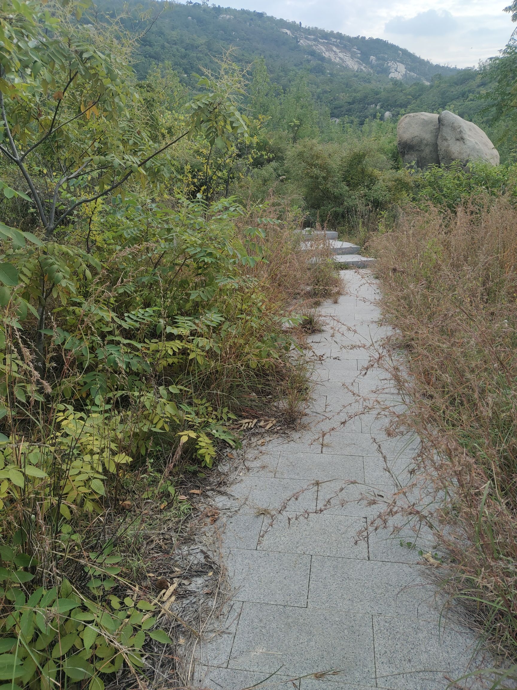 鸿山森林公园旅行图片 2