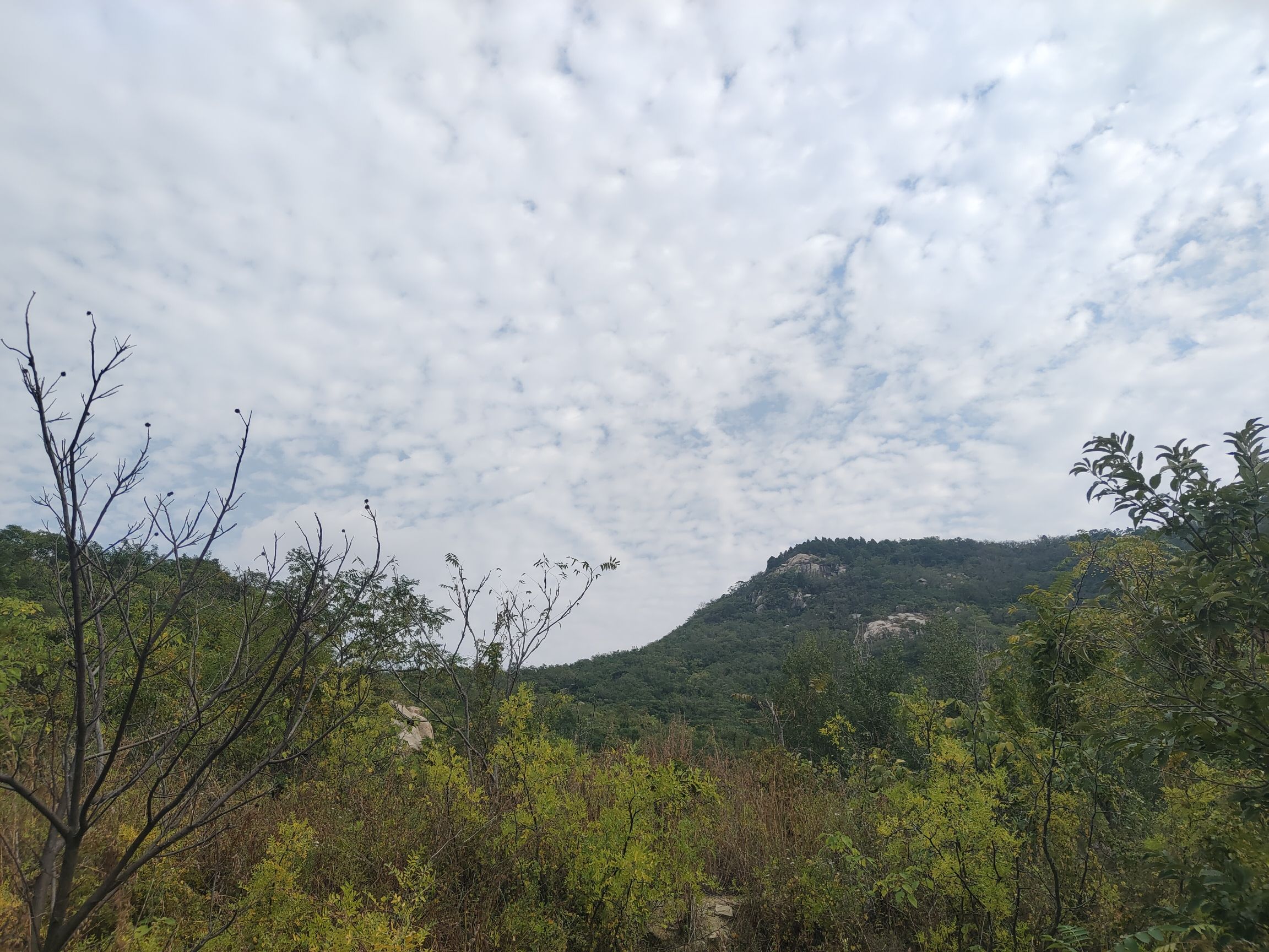 鸿山森林公园旅行图片 1