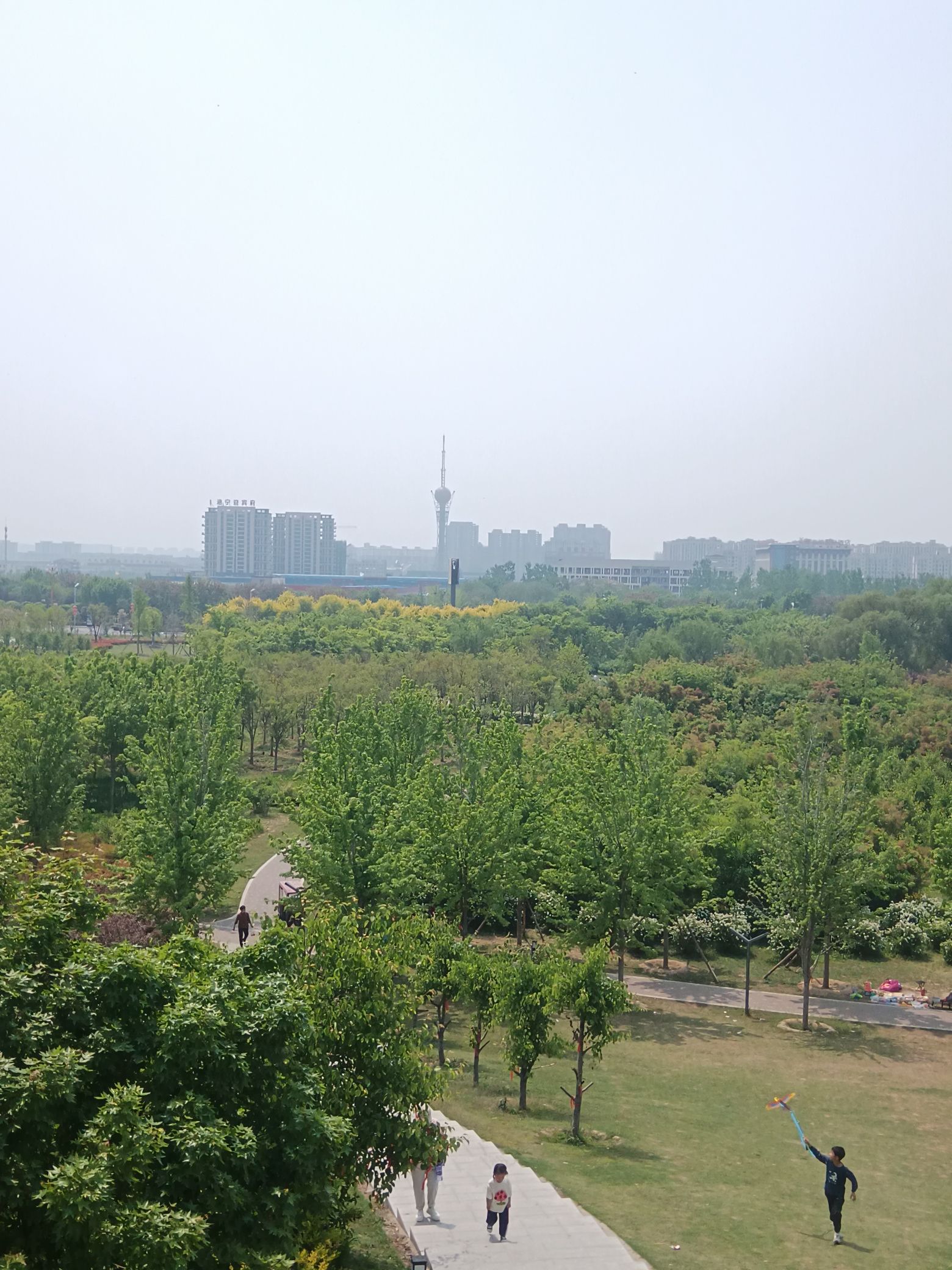 葛天公园旅行图片 2