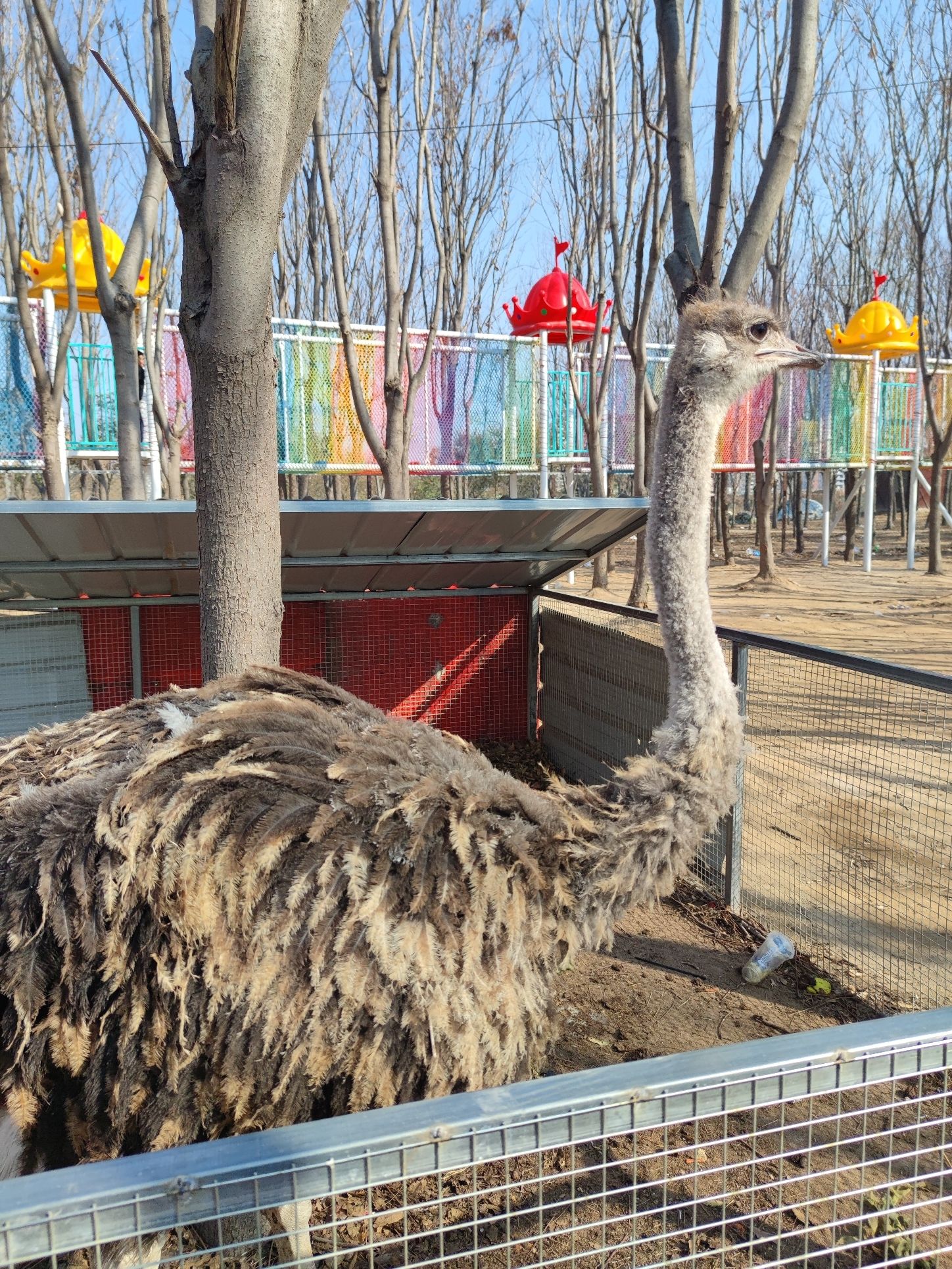 葛天公园旅行图片 3