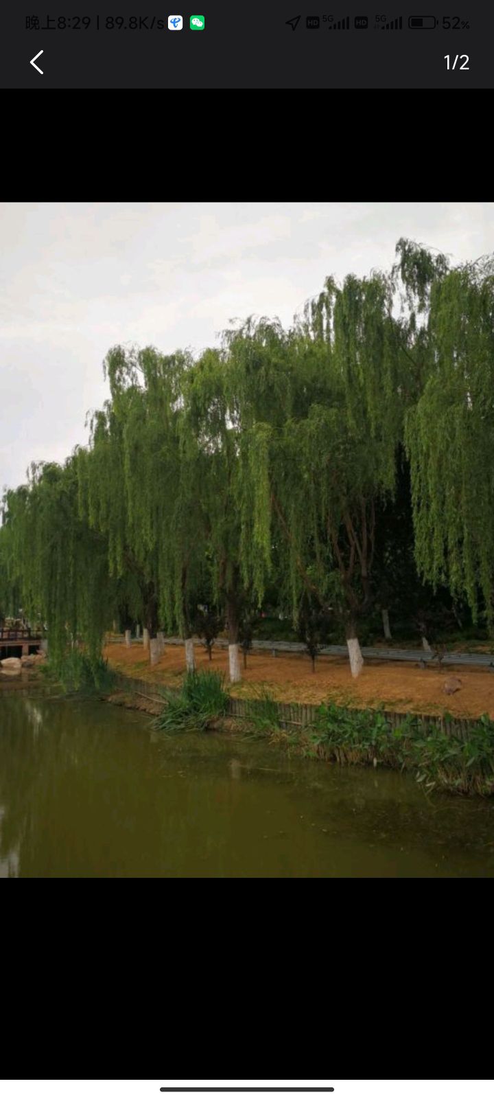 葛天公园旅行图片 2