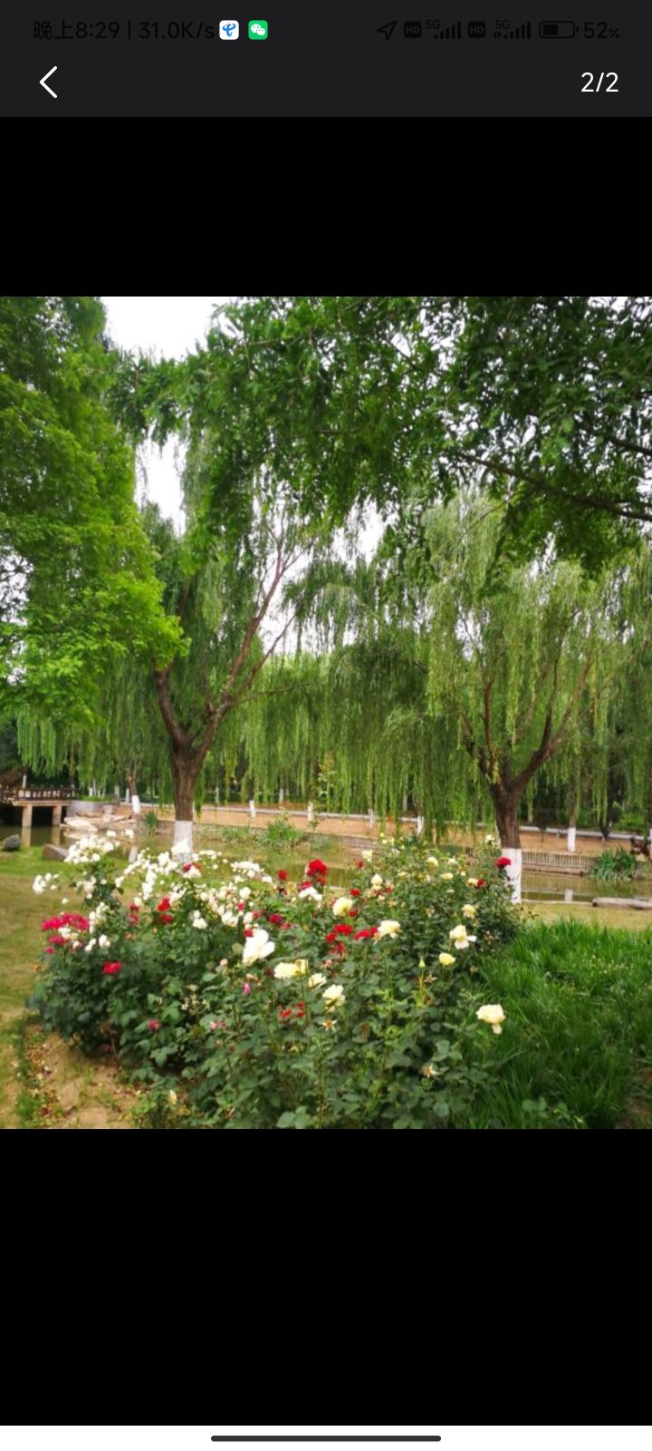 葛天公园旅行图片 3