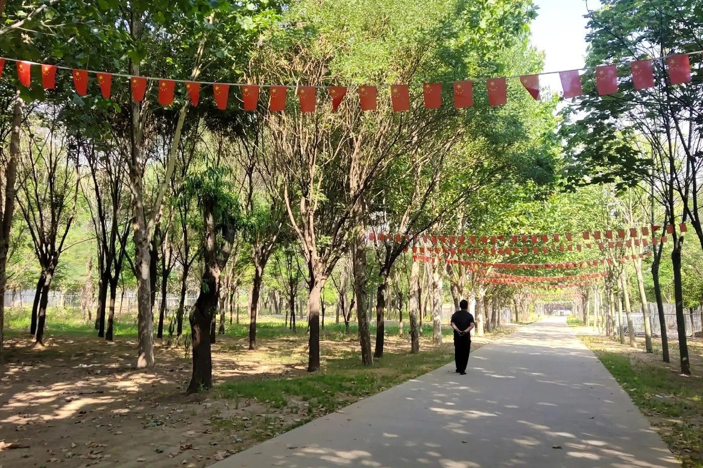 葛天公园旅行图片 2